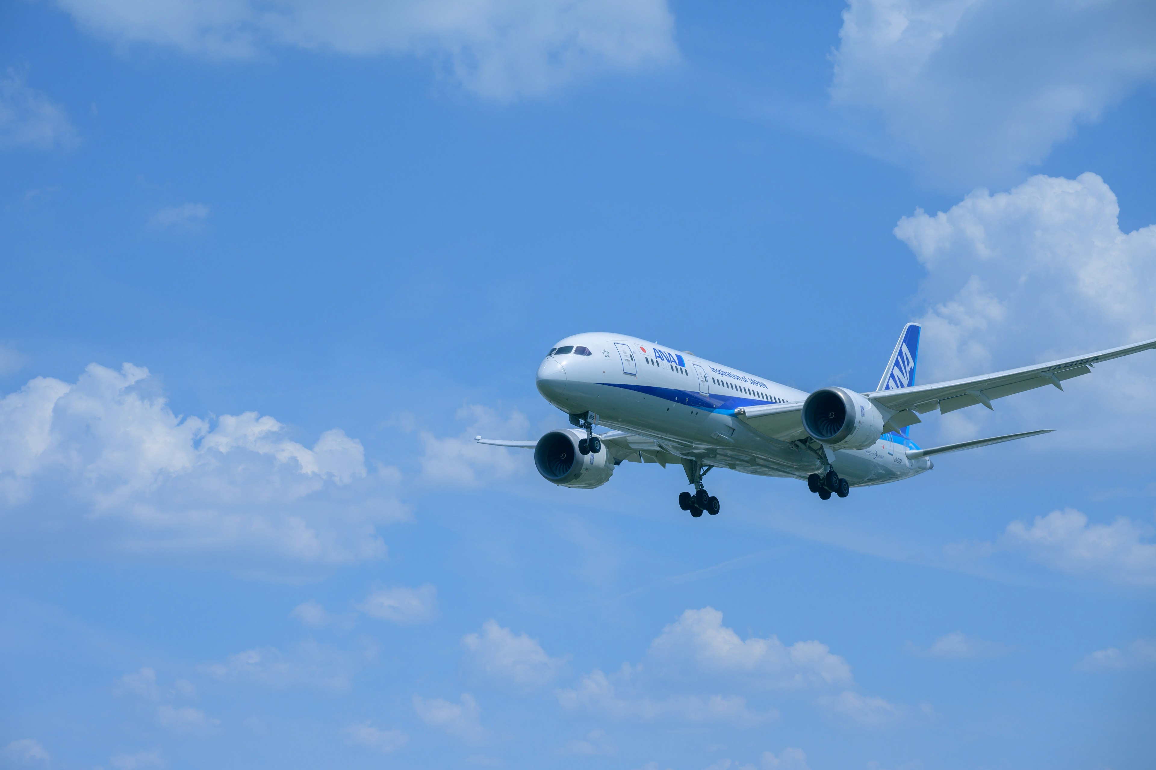 青空を背景に飛行中の旅客機