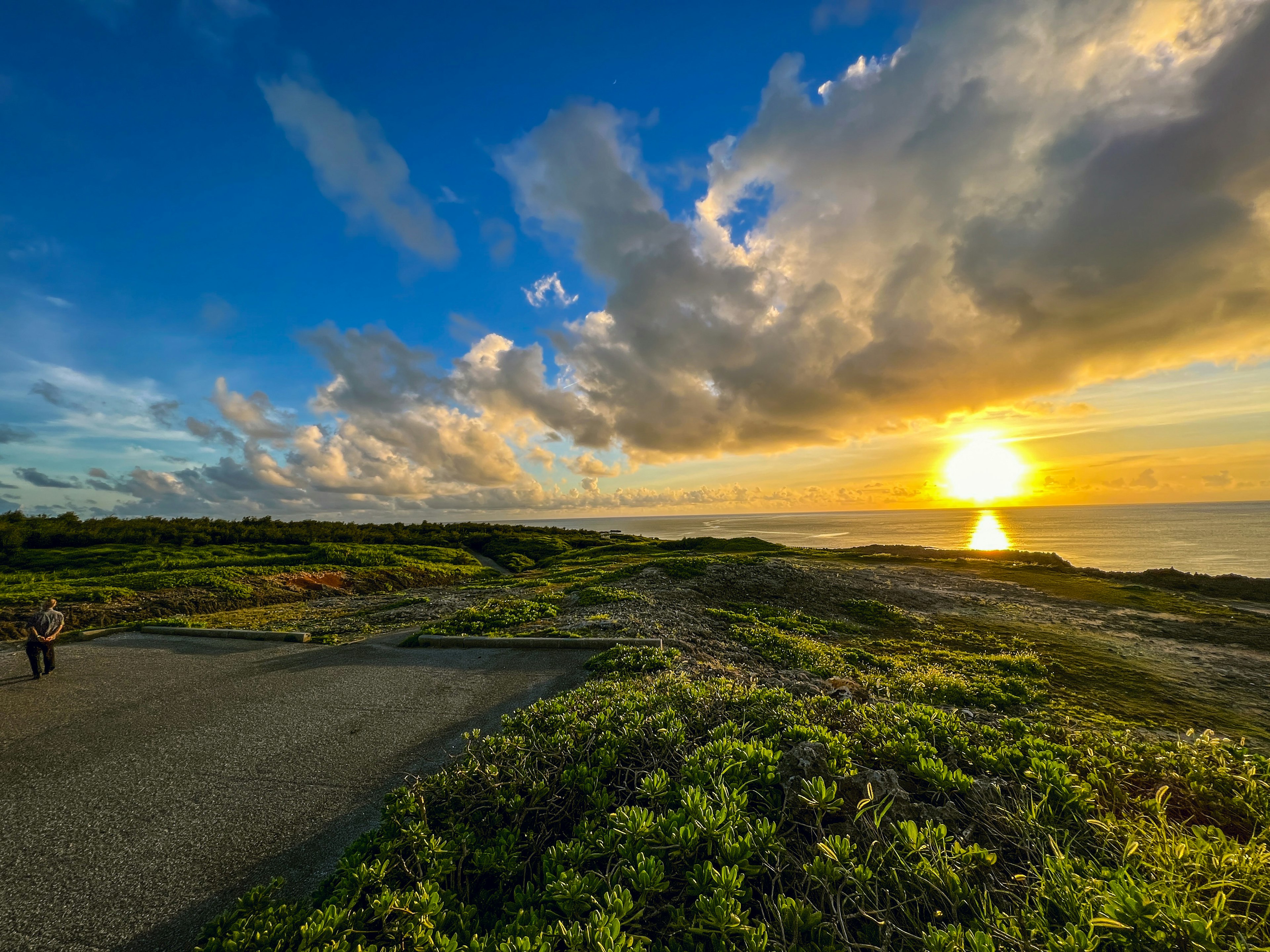 Vue panoramique du coucher de soleil sur l'océan avec une végétation luxuriante et un ciel bleu