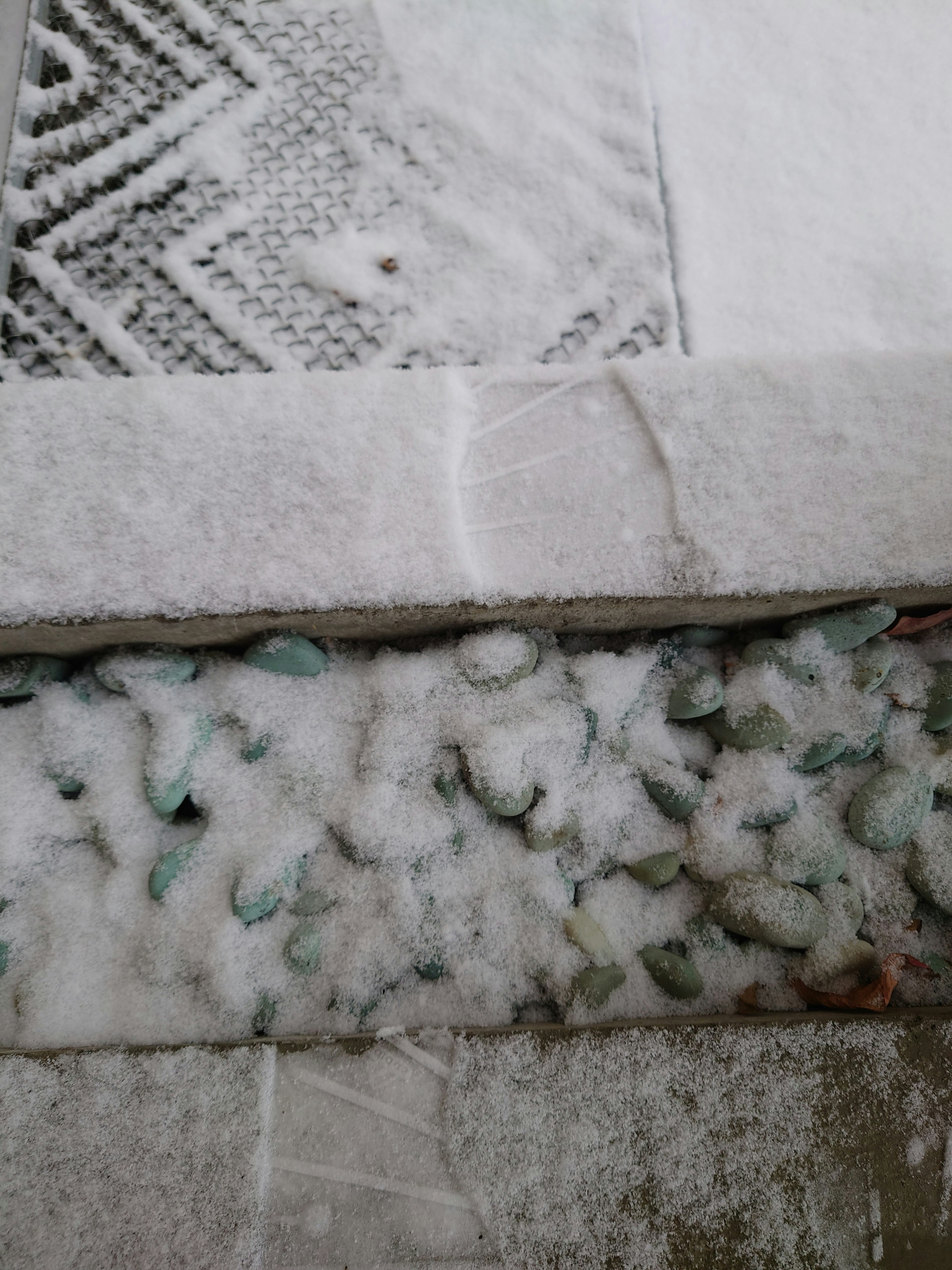 Image of a snowy ground with stone patterns and green elements