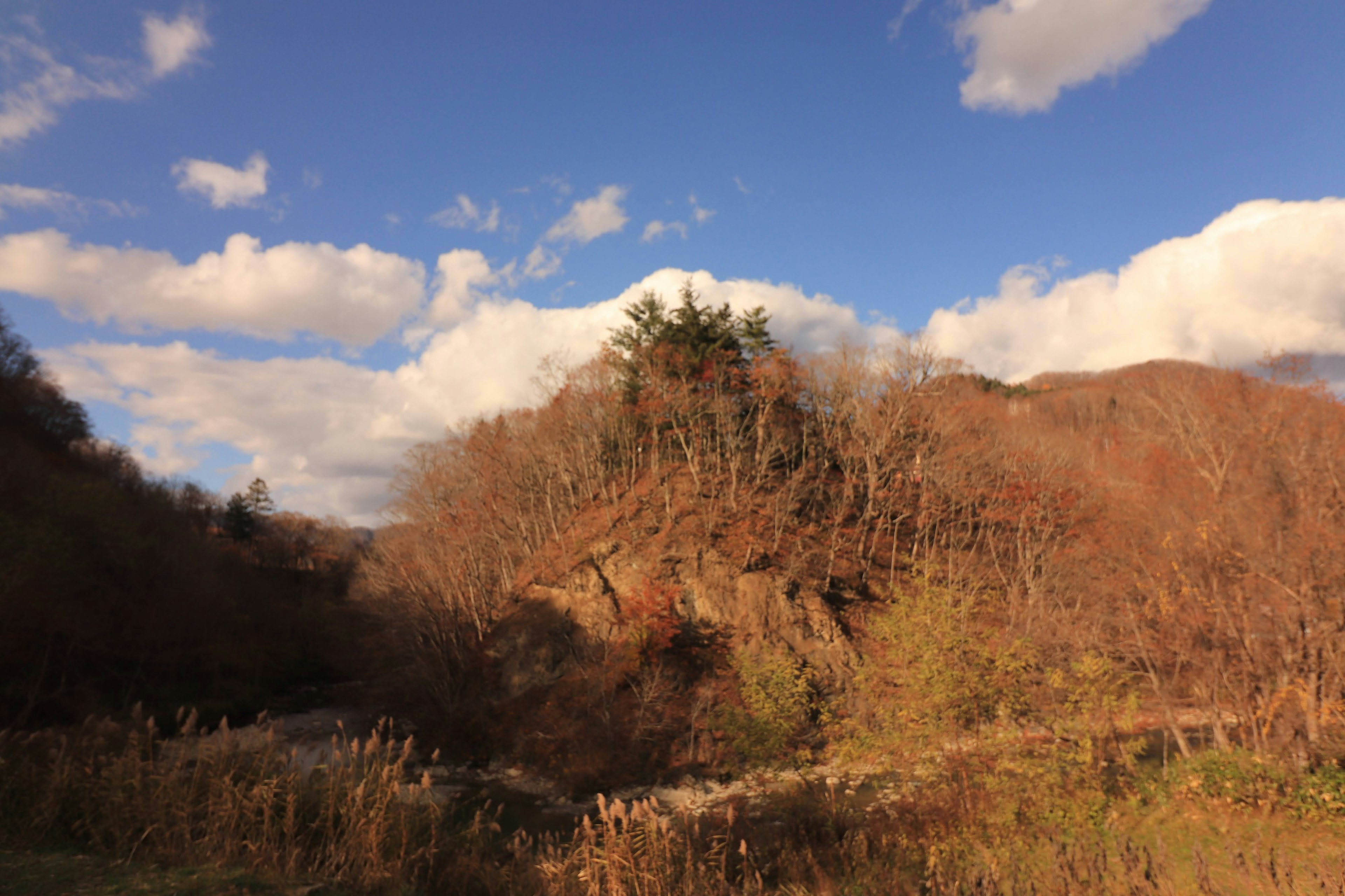 Autumn landscape featuring a hillside with trees against a blue sky and clouds