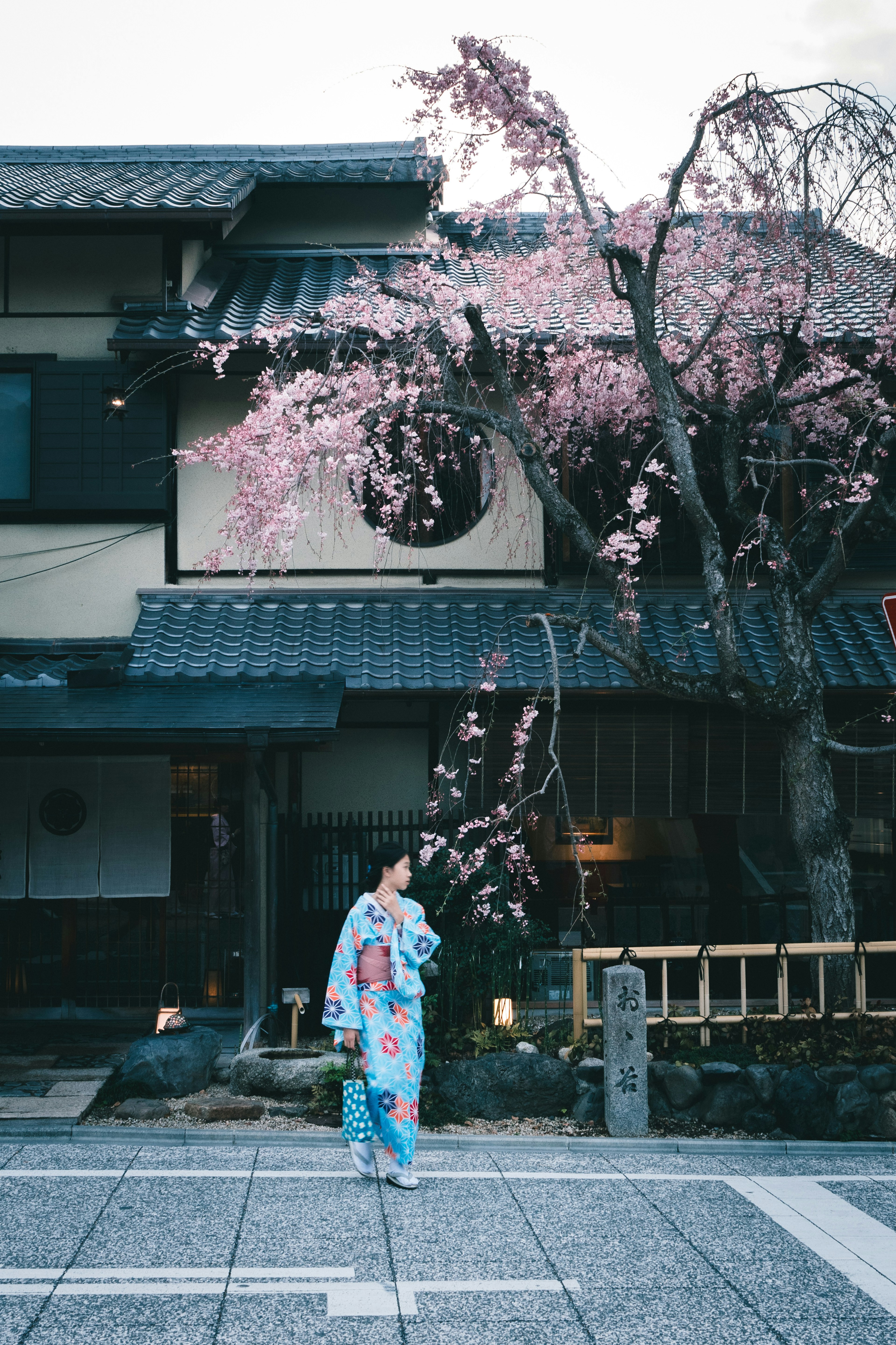 Frau im Kimono steht vor Kirschbaum traditionelles japanisches Gebäude und Landschaft