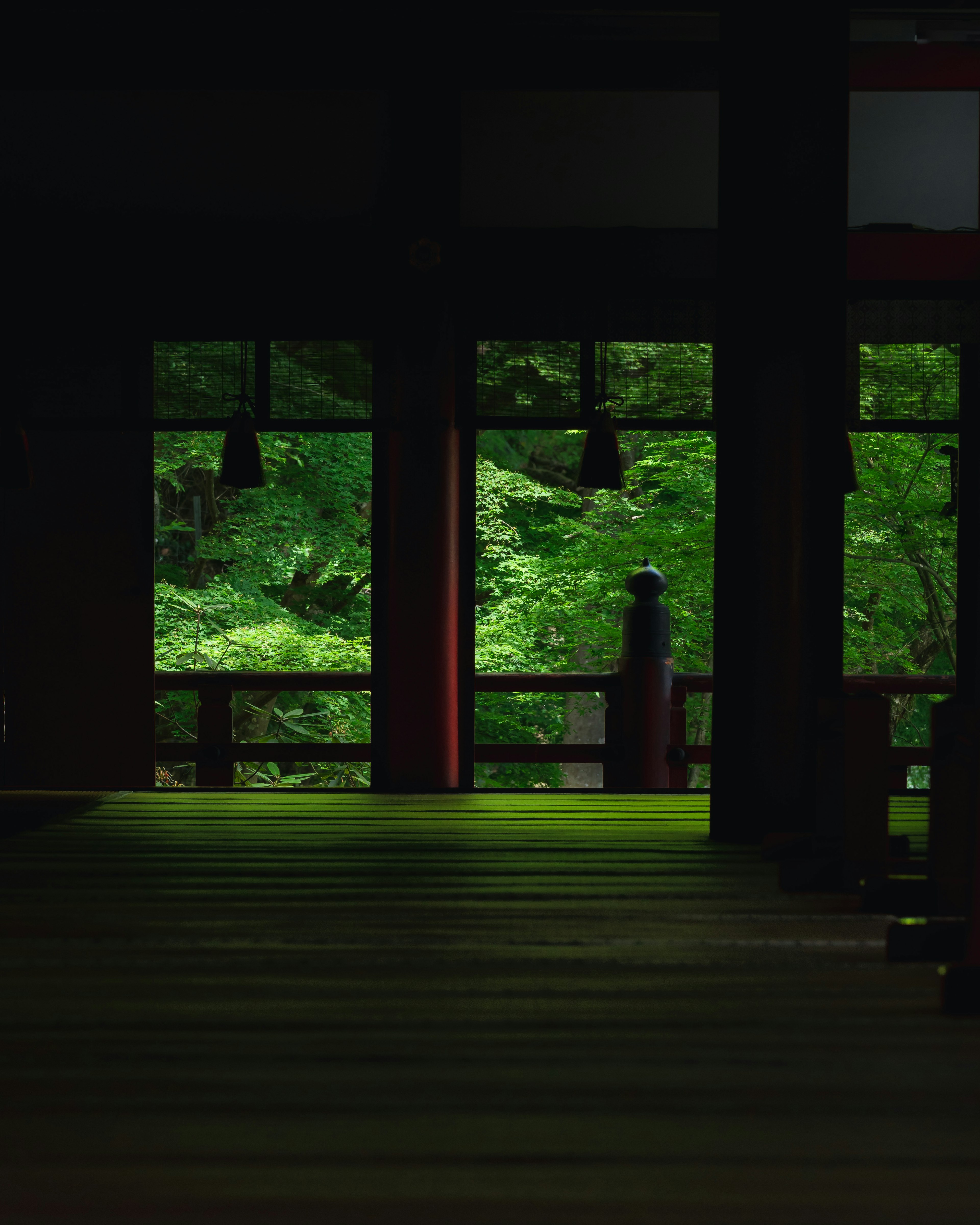 Silhouette d'une personne regardant un paysage verdoyant depuis un intérieur sombre