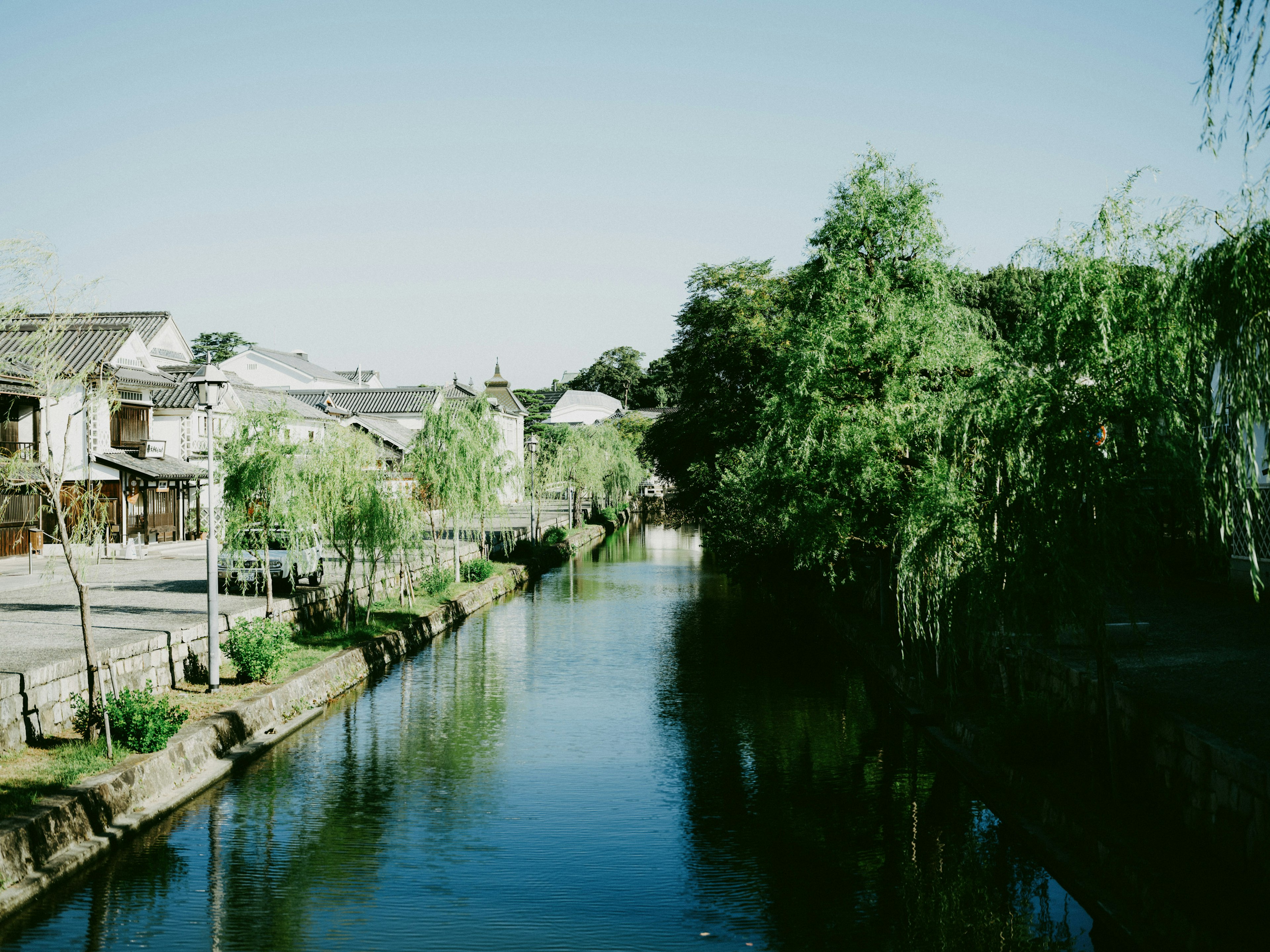 Vista serena di un fiume con alberi verdi lussureggianti