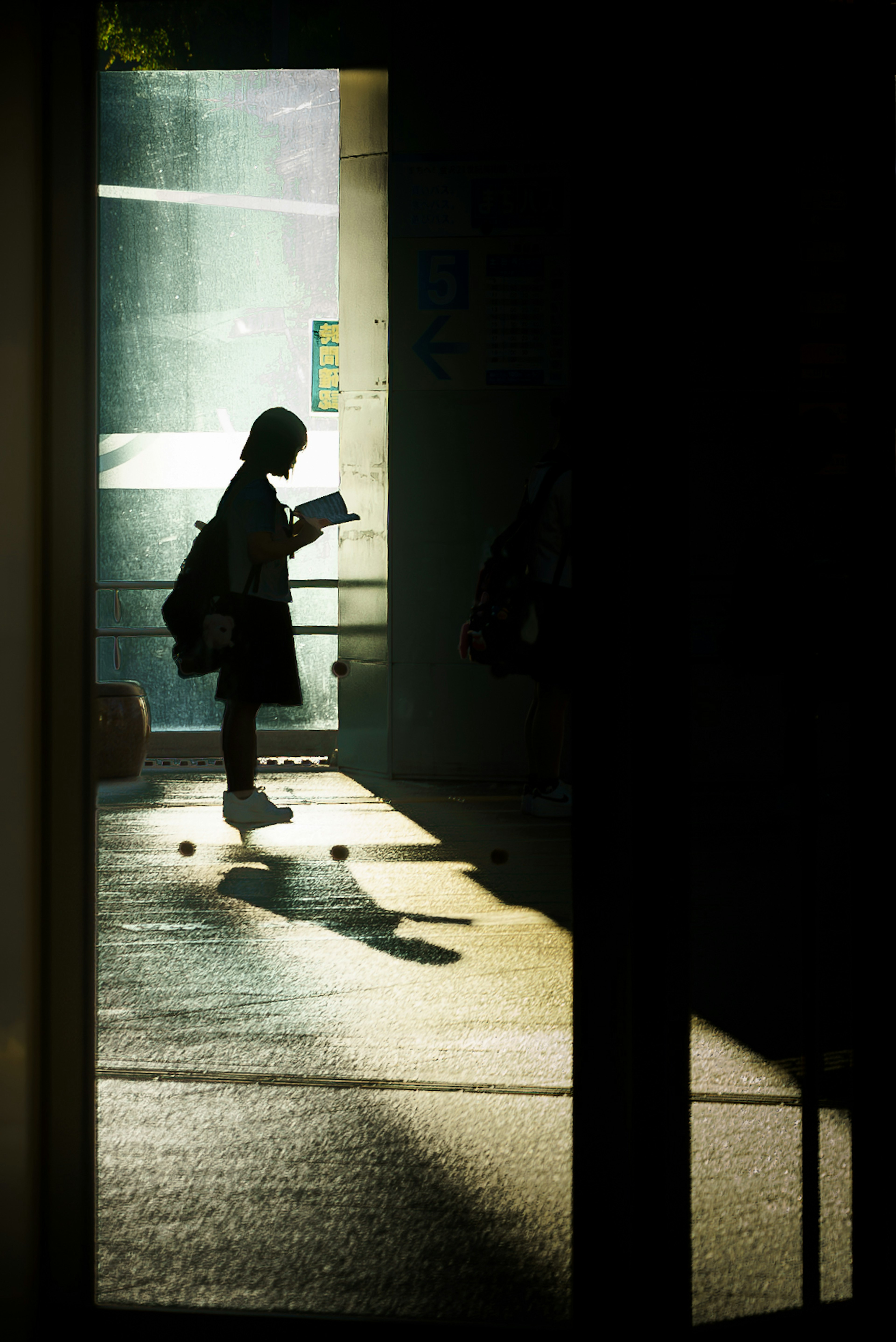 シルエットの学生が本を読んでいる姿が見える暗い背景の画像