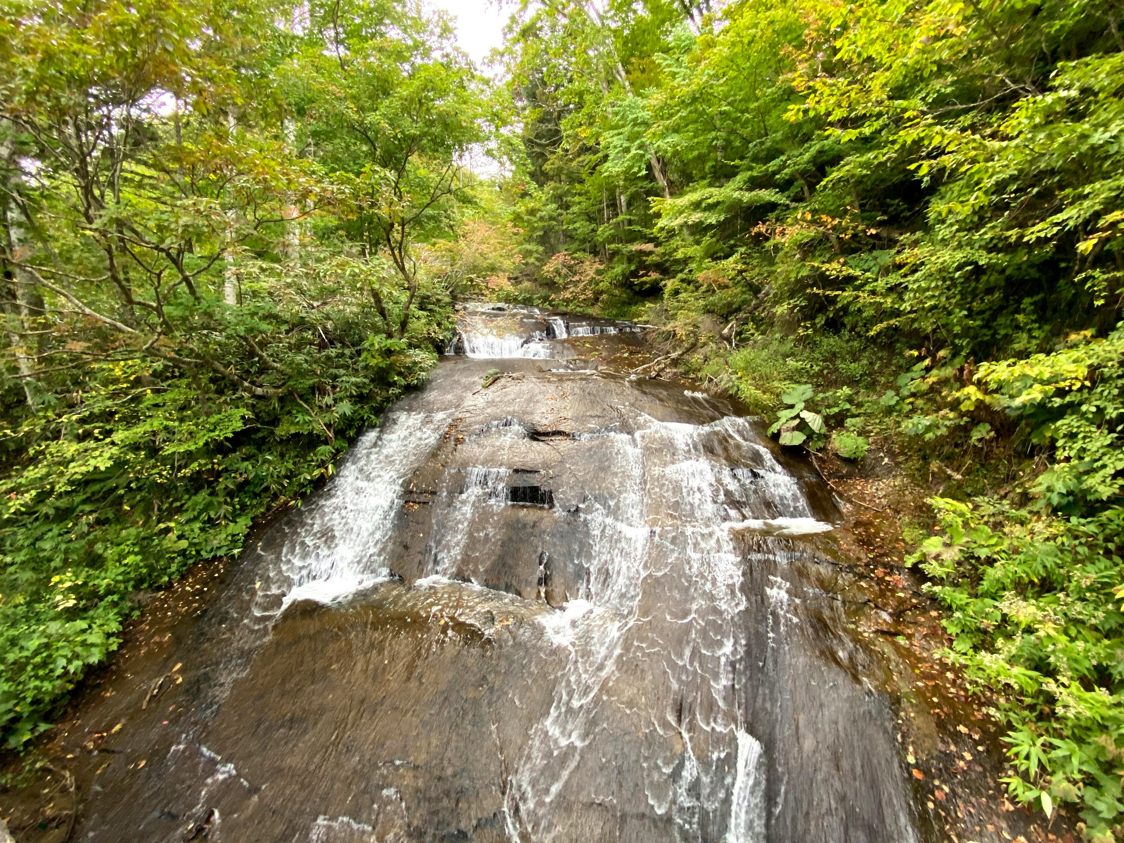 Sanfter Wasserfall über glatte Felsen umgeben von üppigem grünem Wald