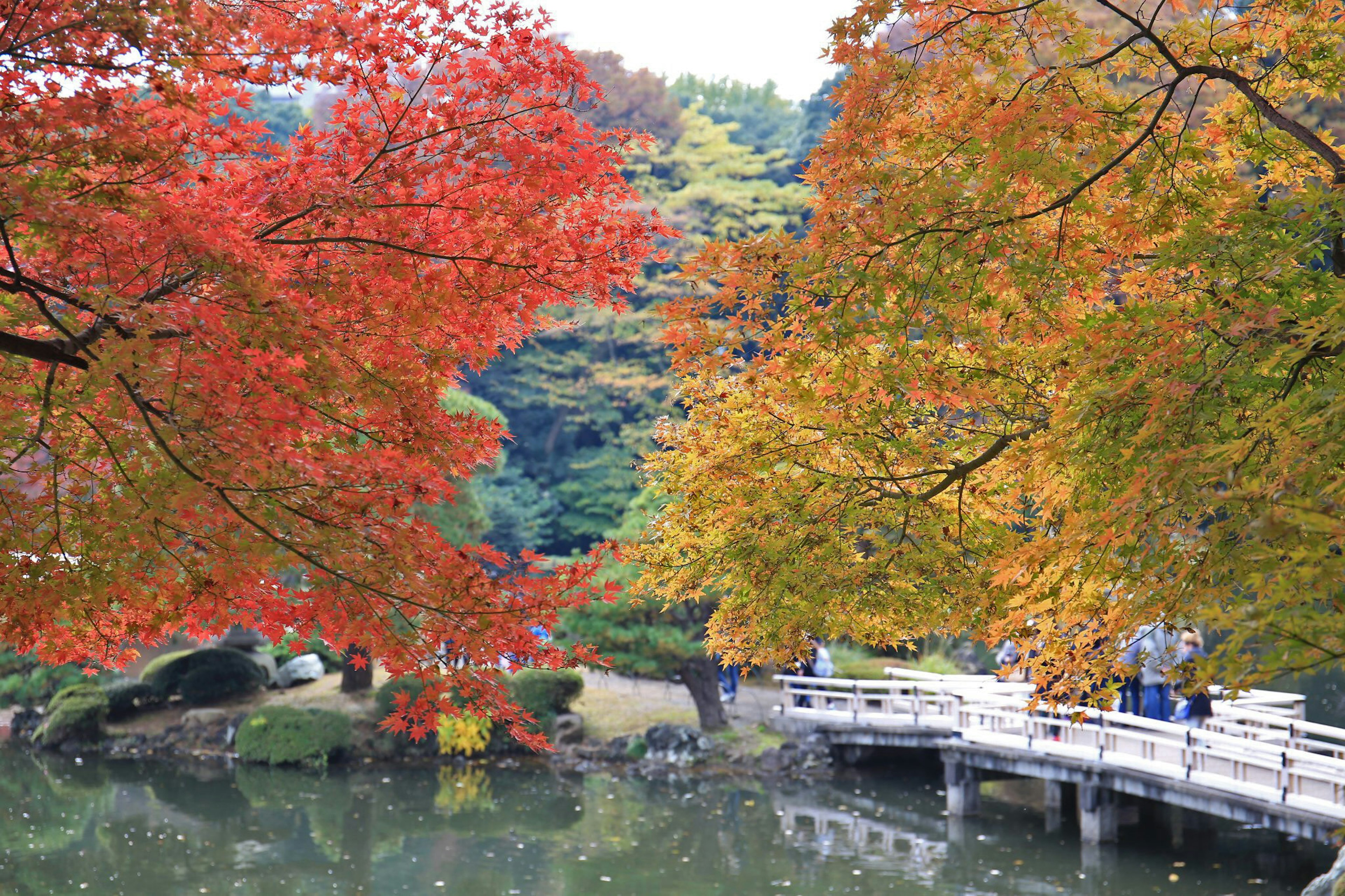 美麗的秋季公園，白色橋樑和寧靜的池塘