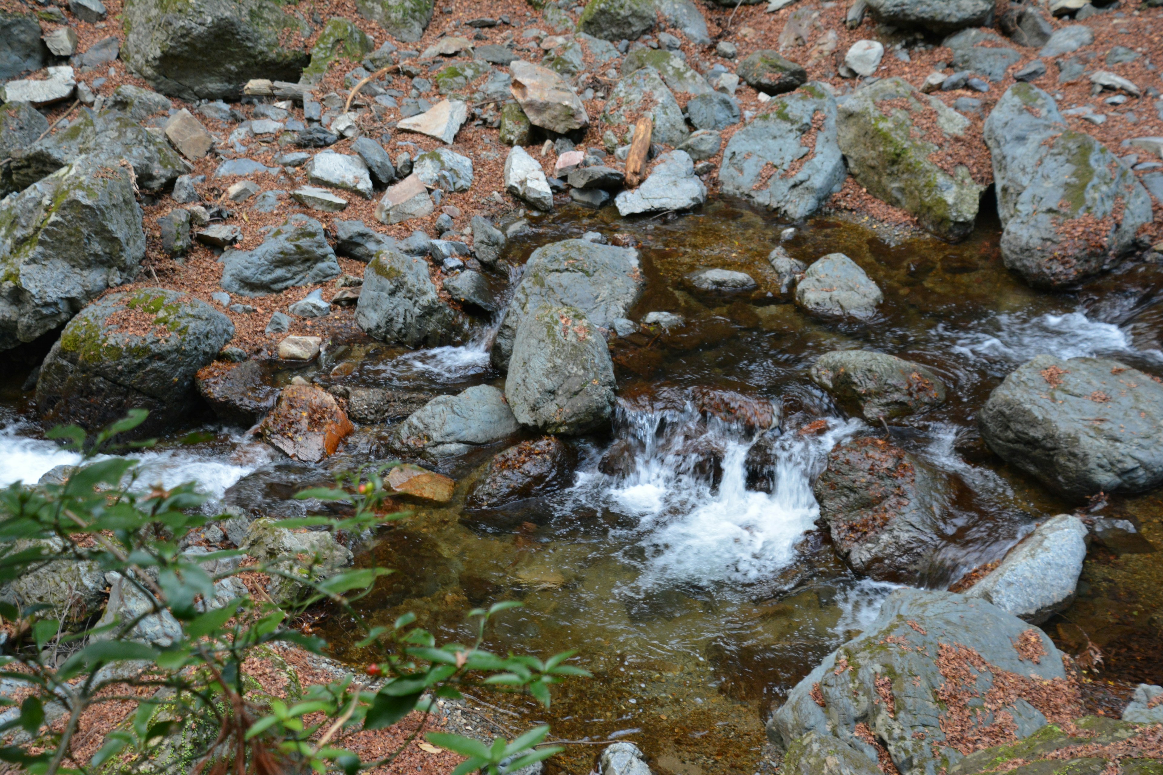 Pemandangan sungai dengan batu dan air mengalir