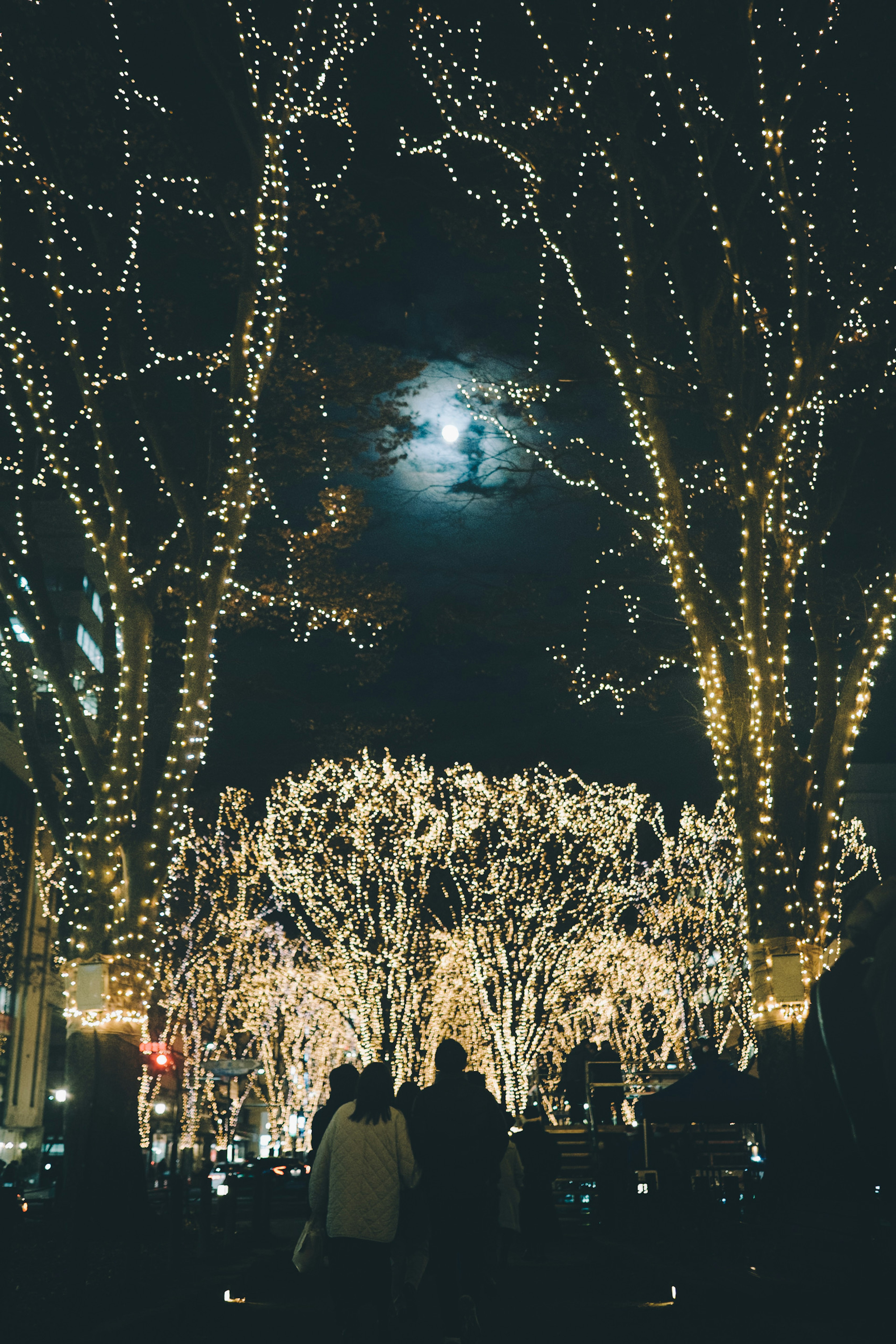 Personas reunidas bajo árboles adornados con luces y una luna llena en el cielo nocturno