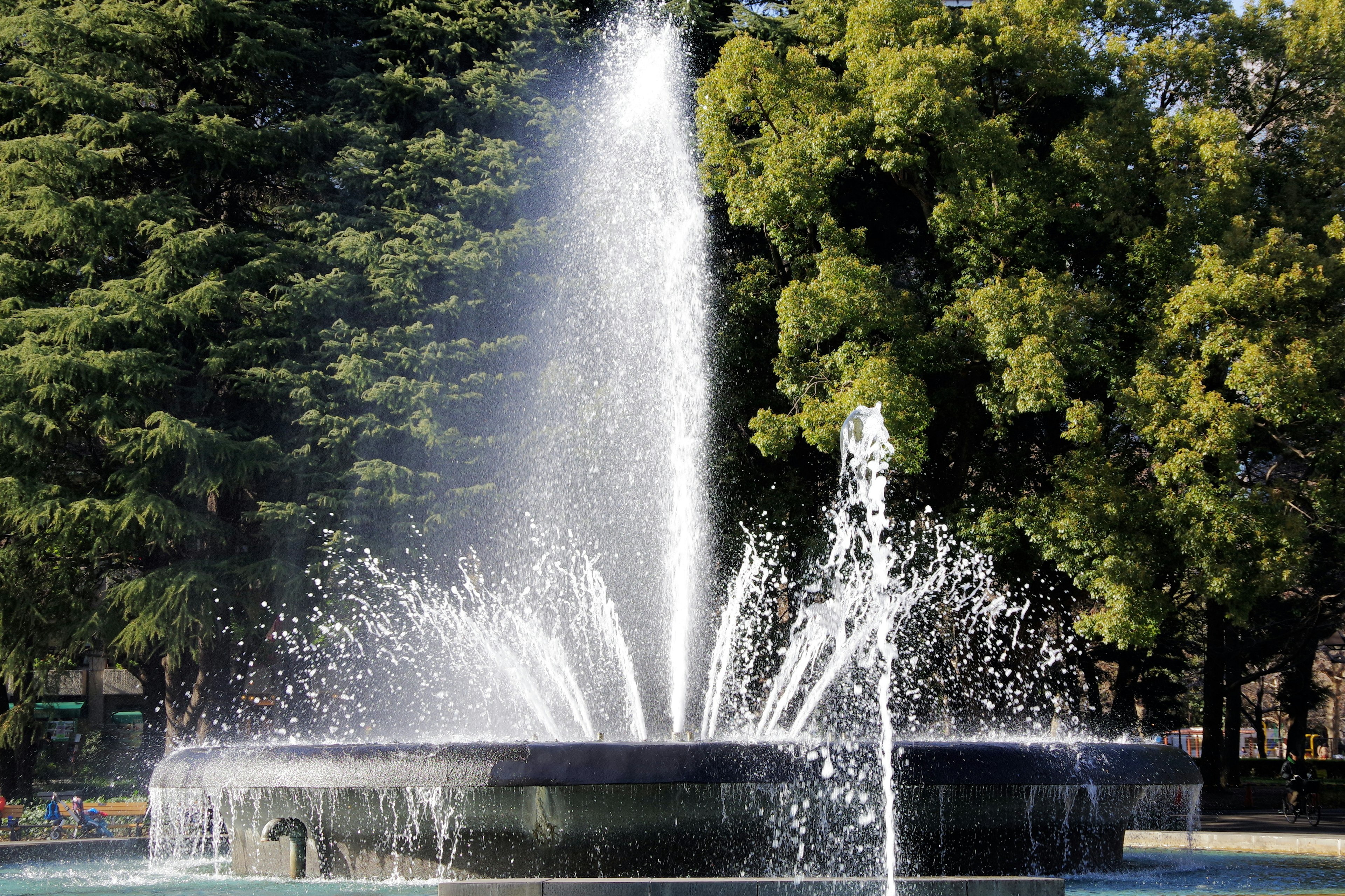 A beautiful fountain at the center surrounded by lush green trees