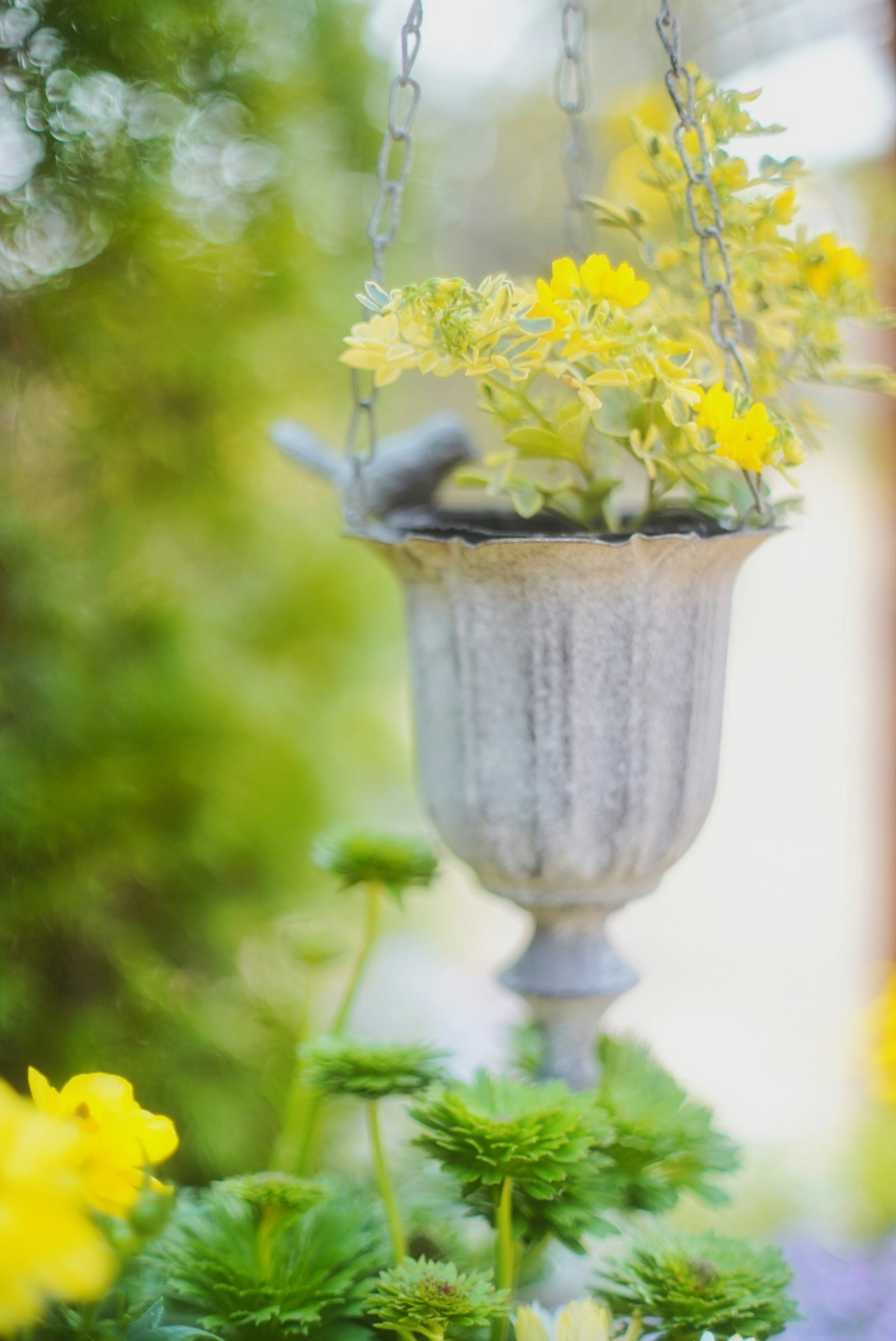 Pot de fleurs vintage suspendu avec des fleurs jaunes