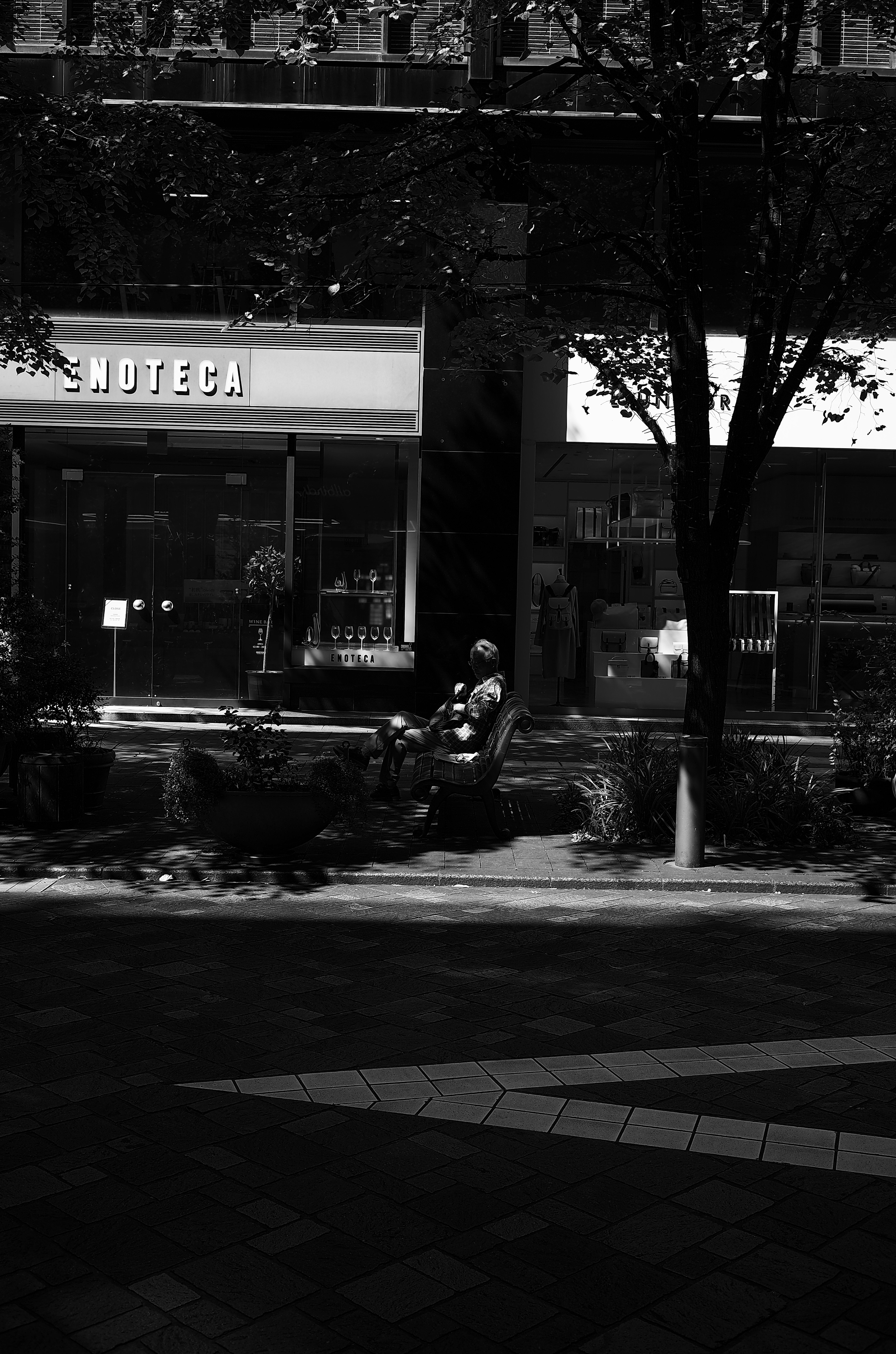 Scène de rue en noir et blanc avec un panneau pour MOTECA et des plantes vertes