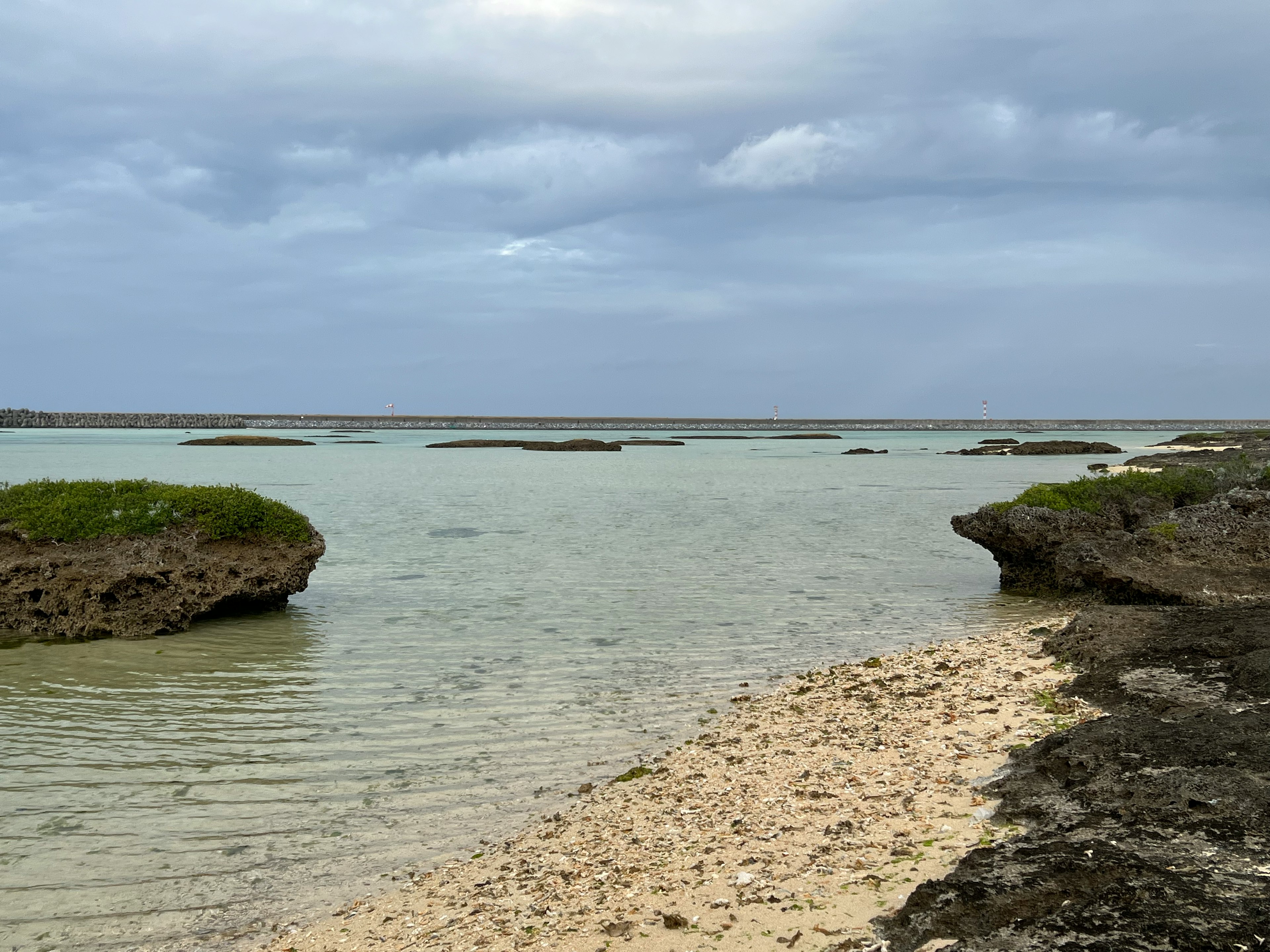 穏やかな海と岩のある風景 砂浜と緑の草が特徴