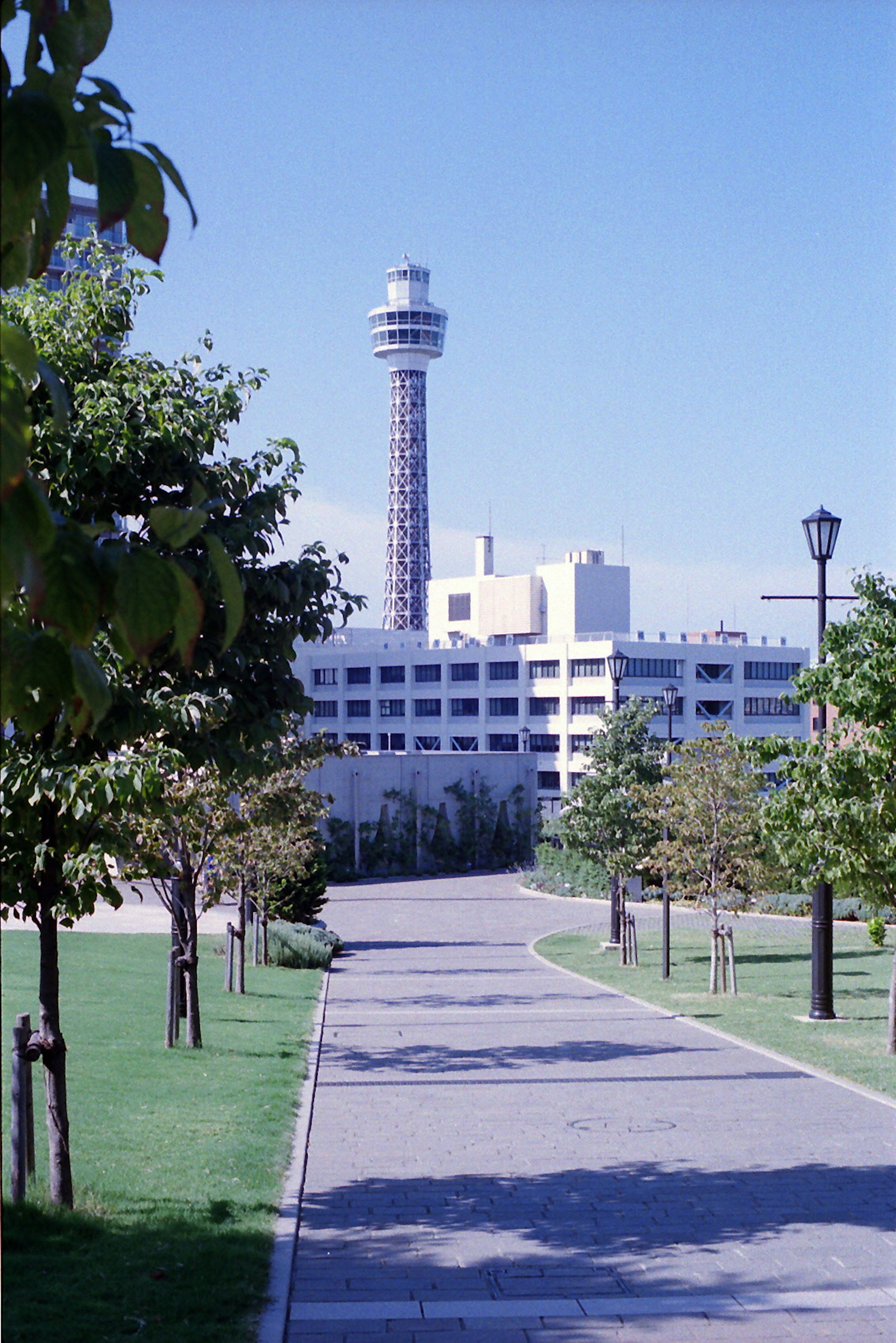 公園內的小徑和背景中的塔