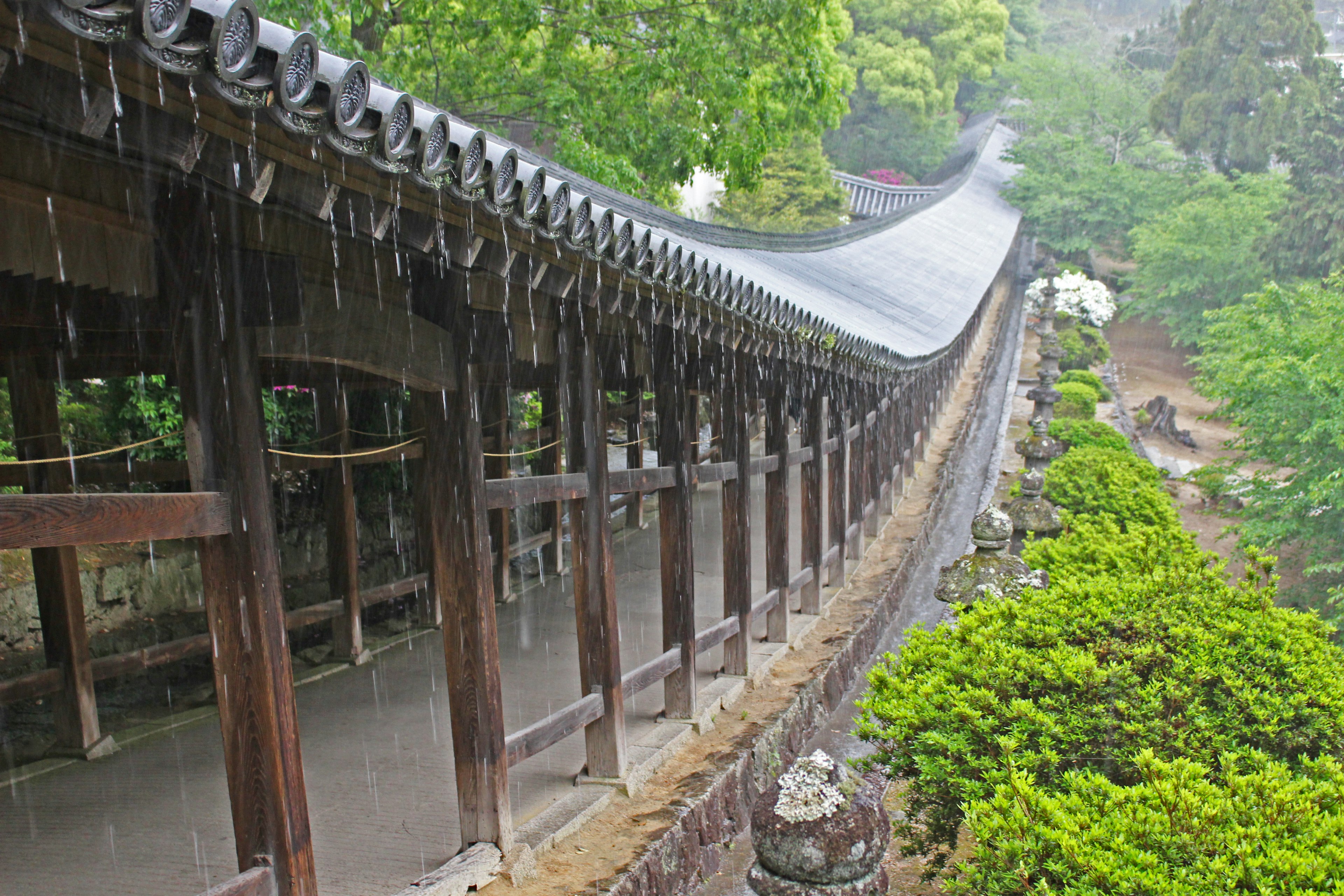 Old wooden corridor in the rain surrounded by lush greenery