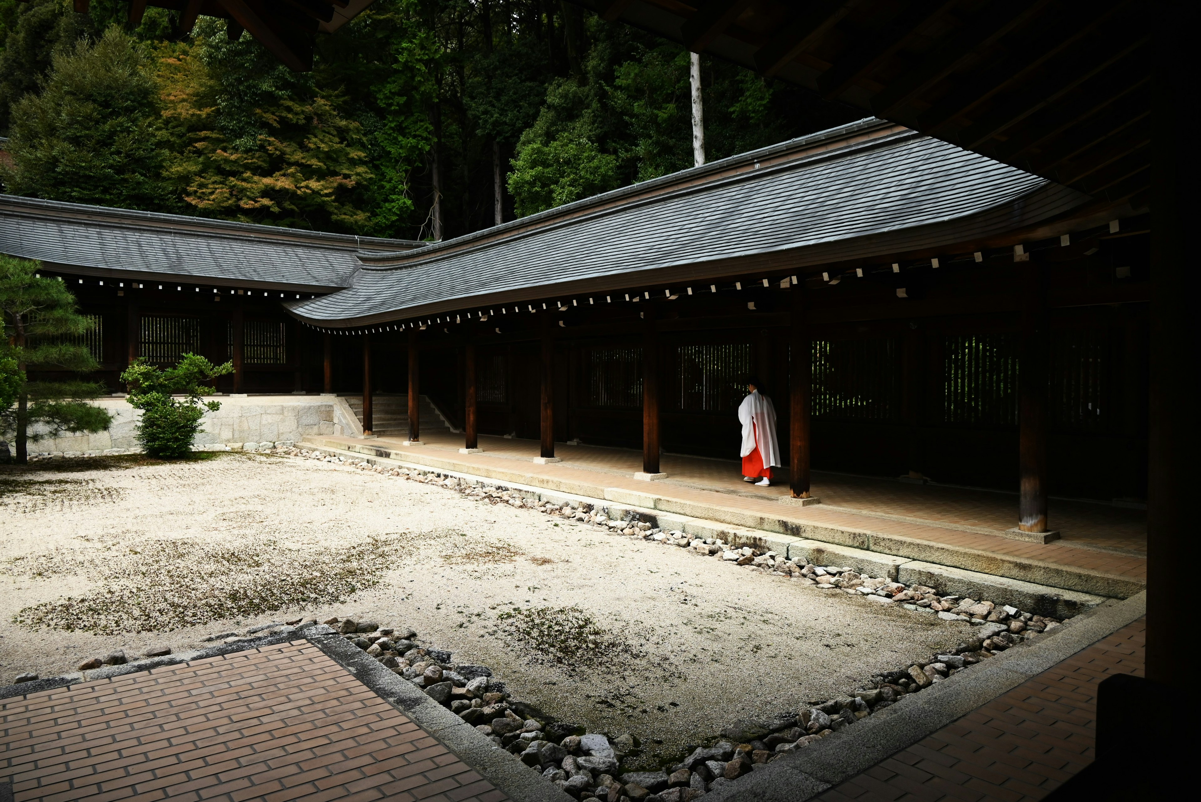 一個穿著白袍的人在寧靜的日本寺廟花園中散步