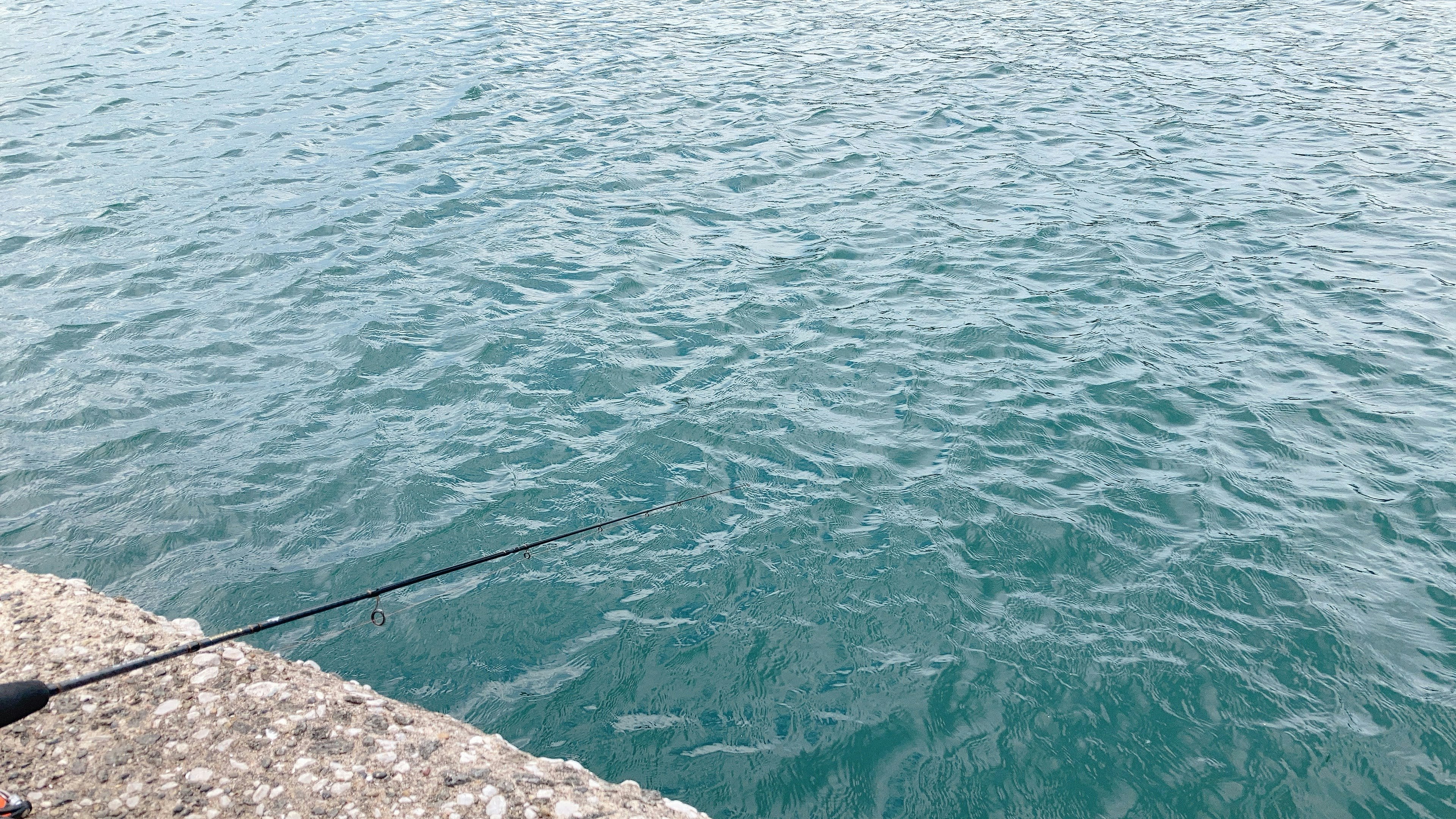 Fishing scene with a person holding a fishing rod over the water surface