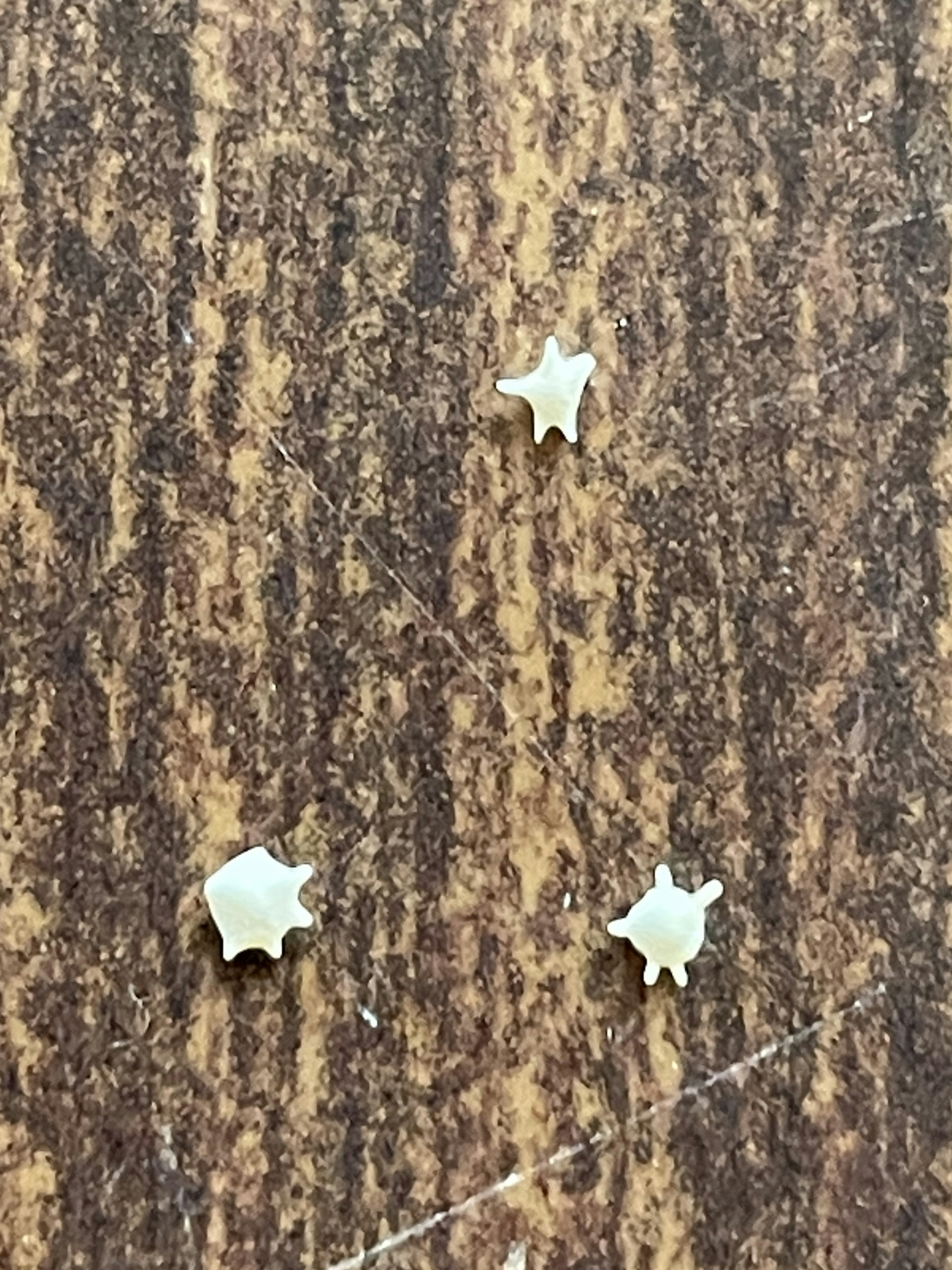 Pequeños objetos blancos en forma de estrella esparcidos sobre una superficie de madera