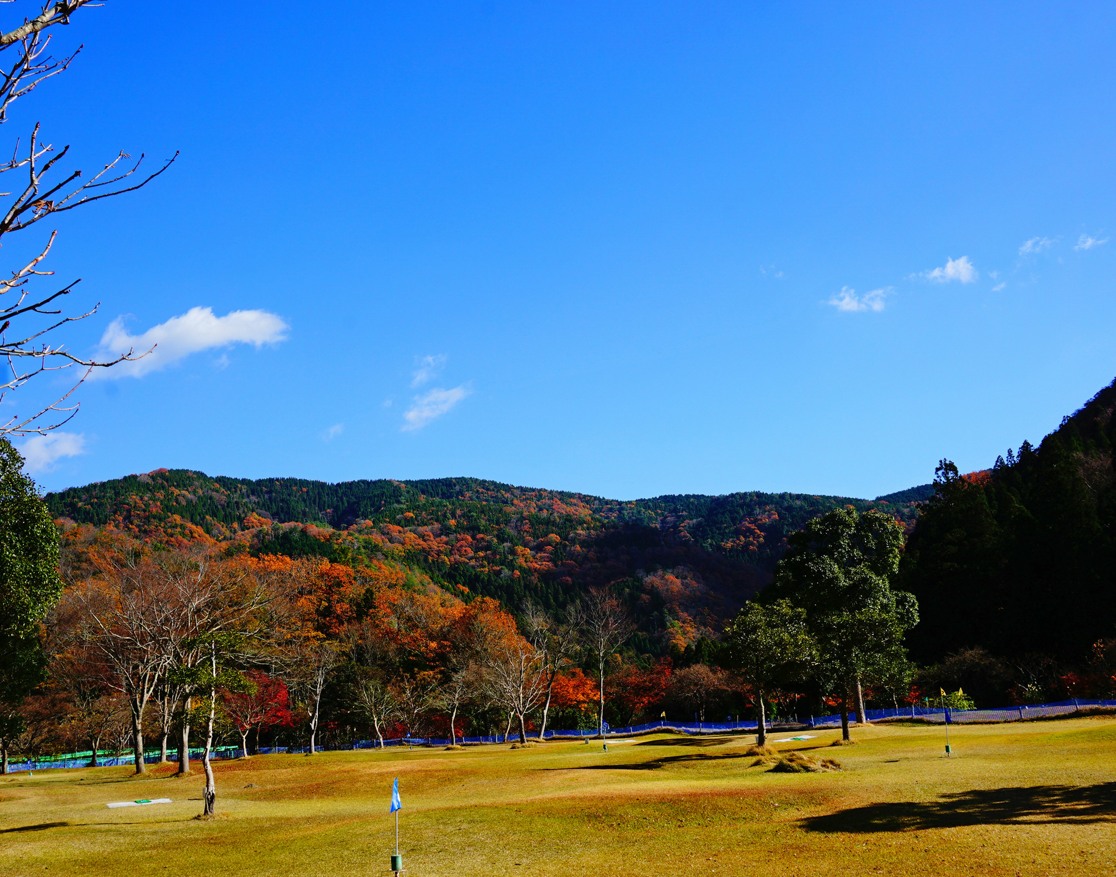 青空と紅葉の山々が広がる風景