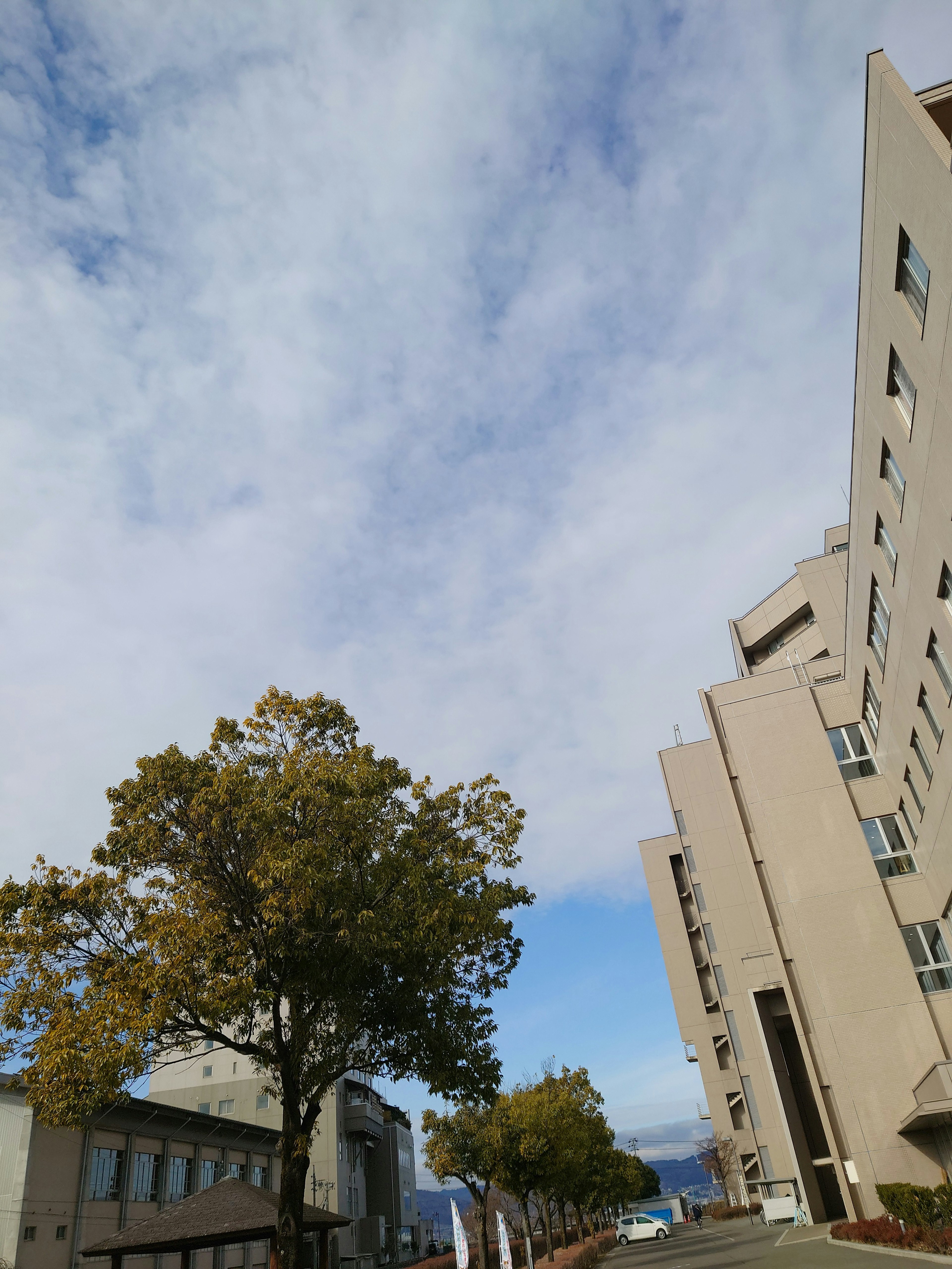 Una vista di edifici e alberi sotto un cielo blu