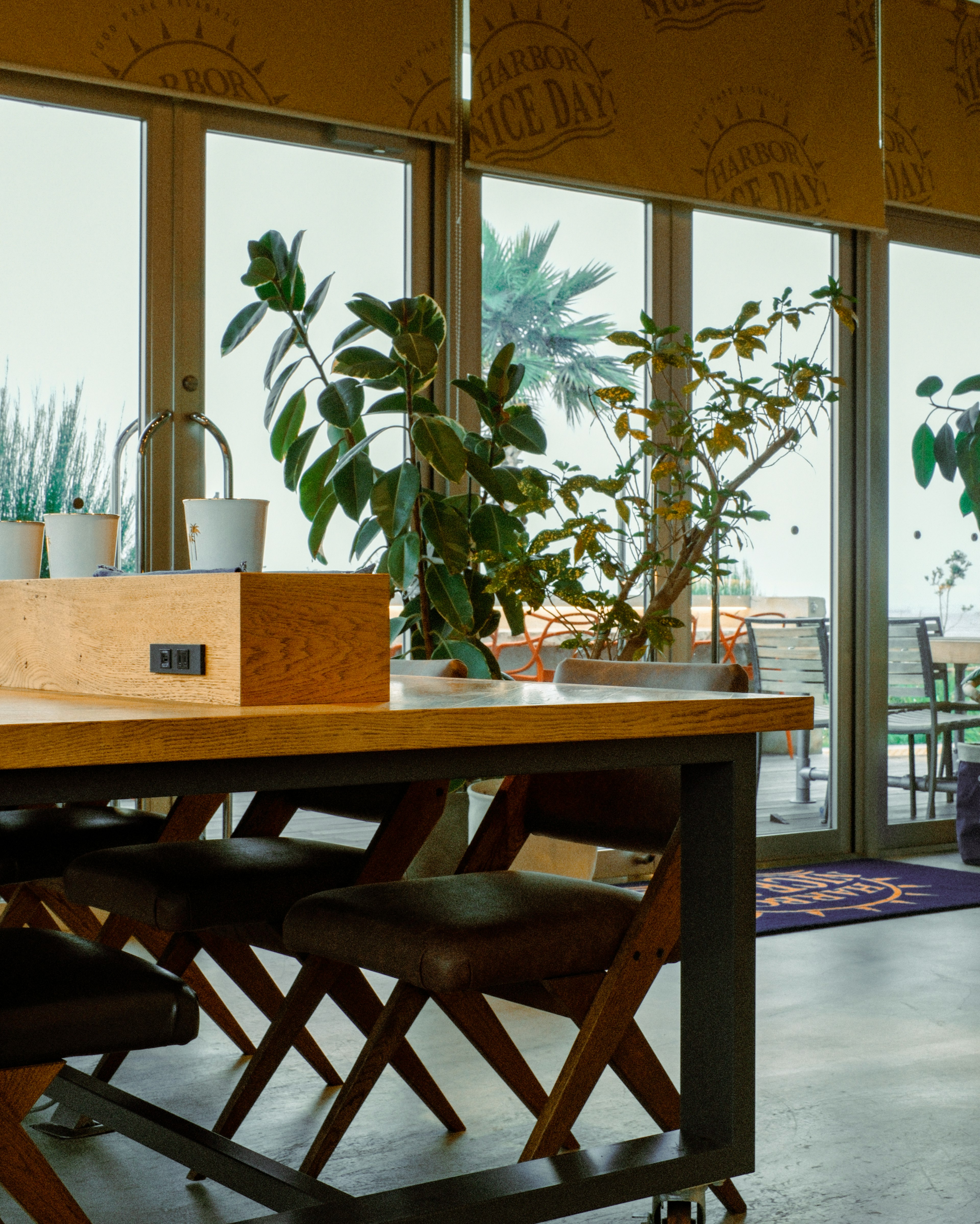 Conjunto de mesa y sillas de madera iluminado por grandes ventanales con plantas alrededor