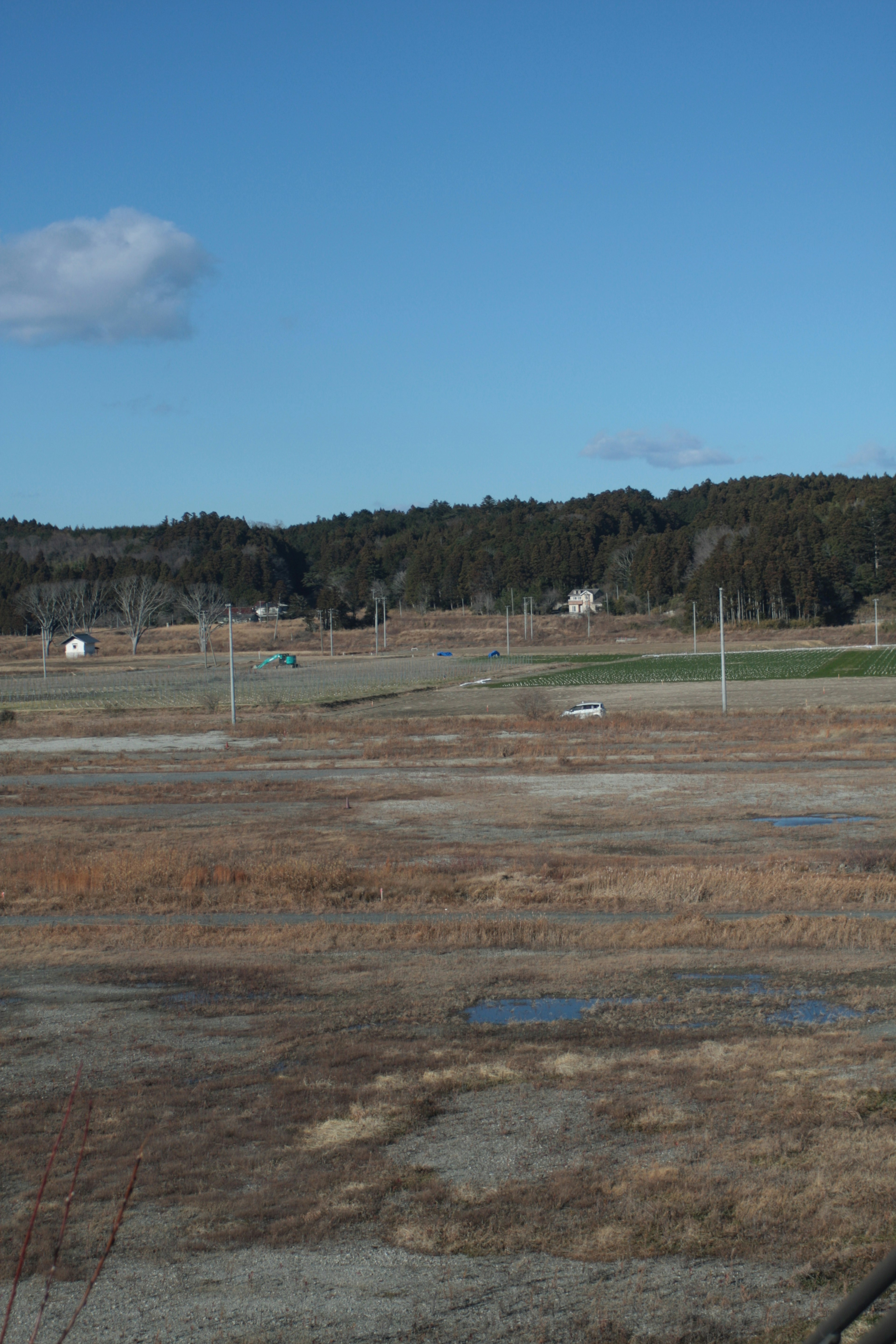 Terre agricole sèche sous un ciel bleu avec une forêt lointaine