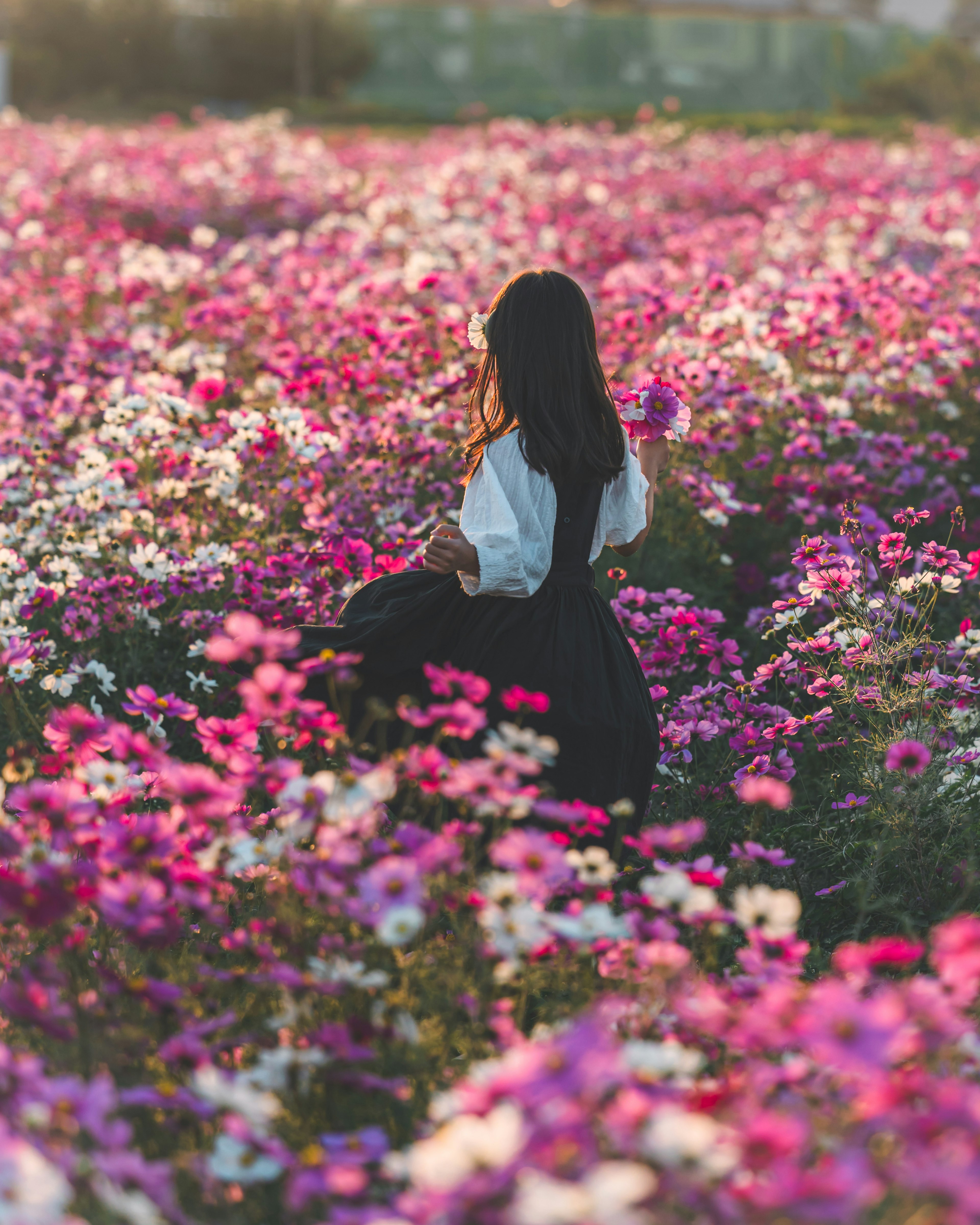 花畑の中で後ろを向く女性のシルエット 白いブラウスと黒いスカート 花々の色合いはピンクと白