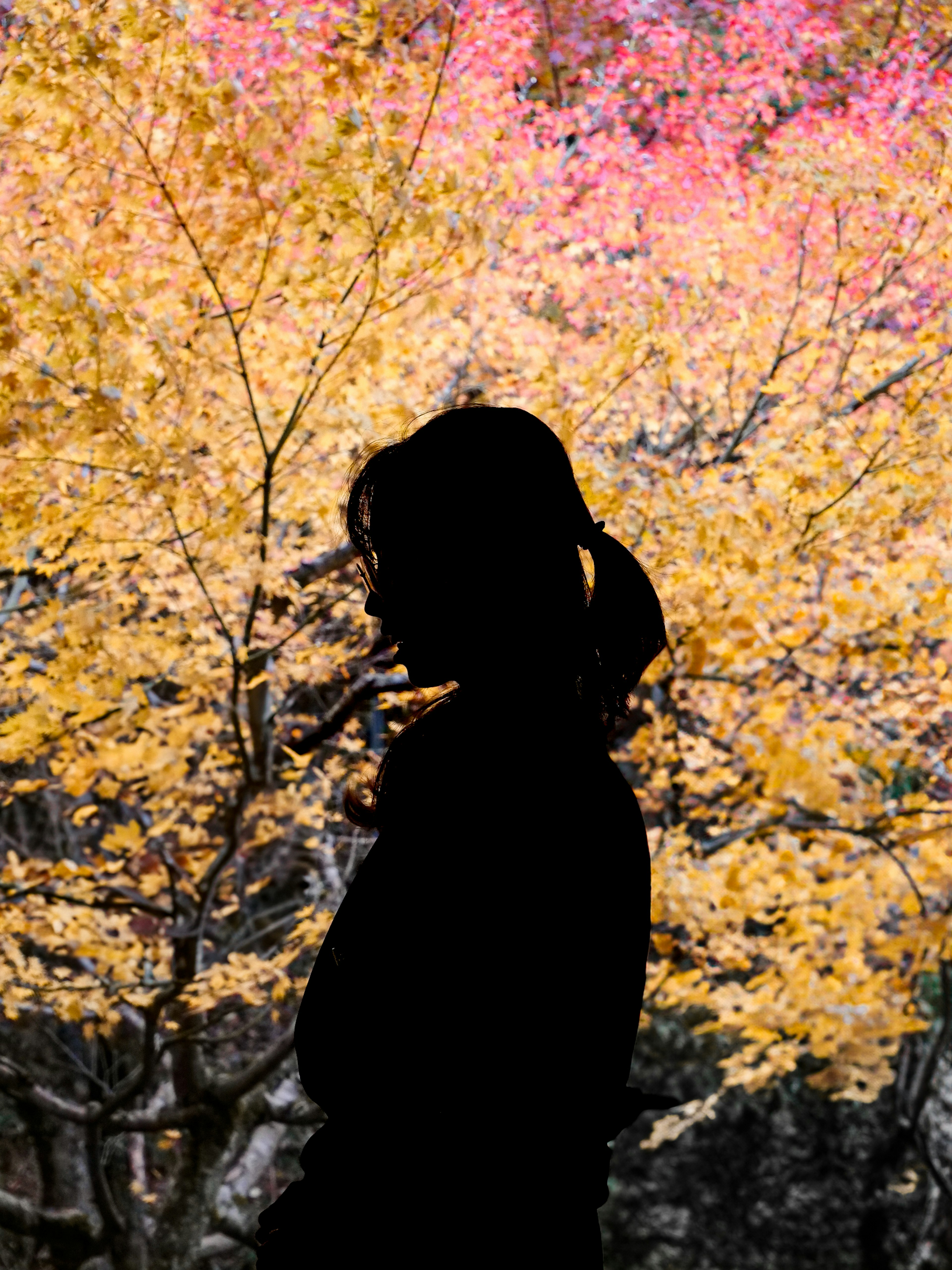 Silhouette einer Frau vor einem herbstlichen Hintergrund