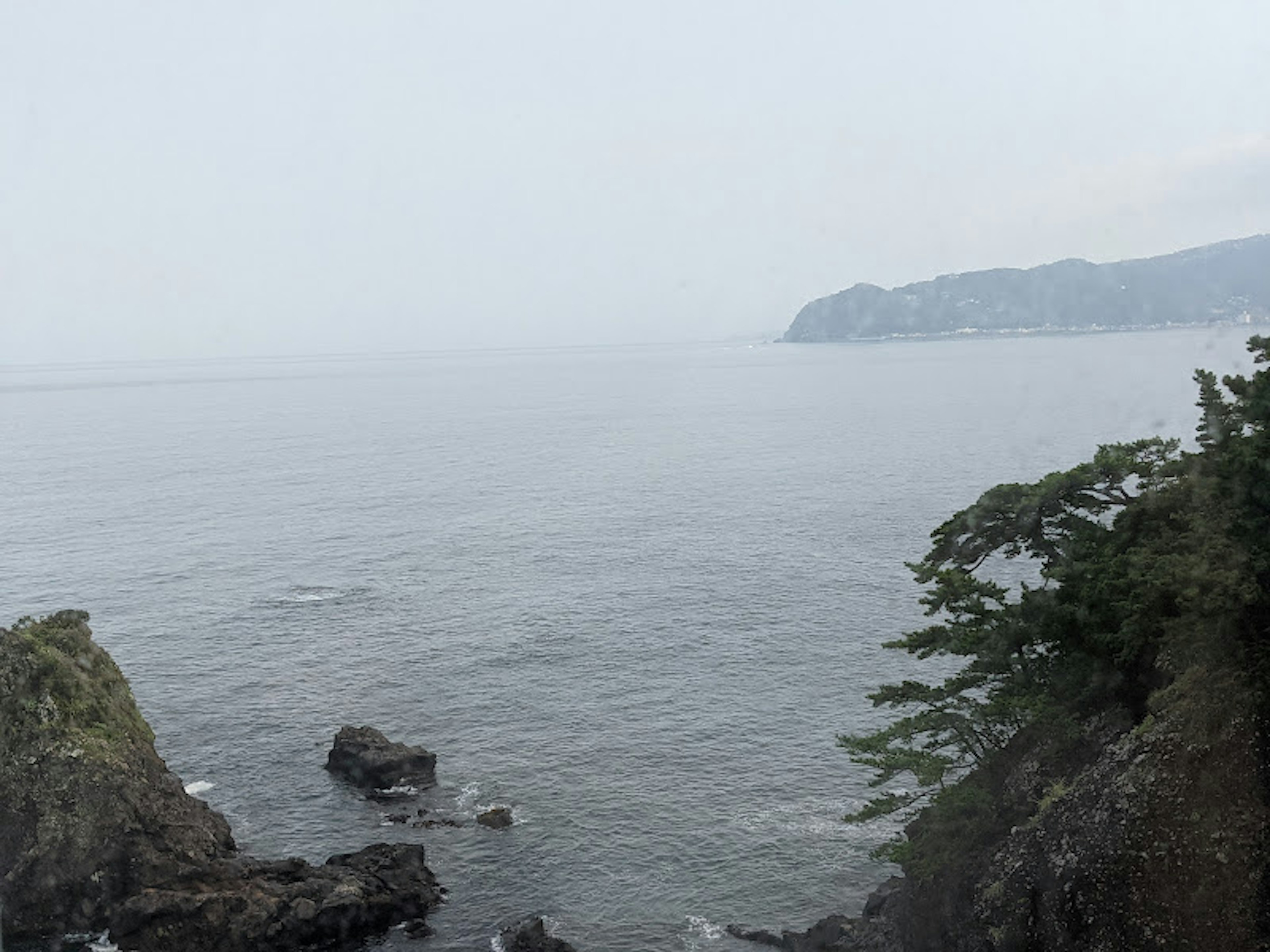 Vista costiera con mare nebbioso, riva rocciosa e alberi