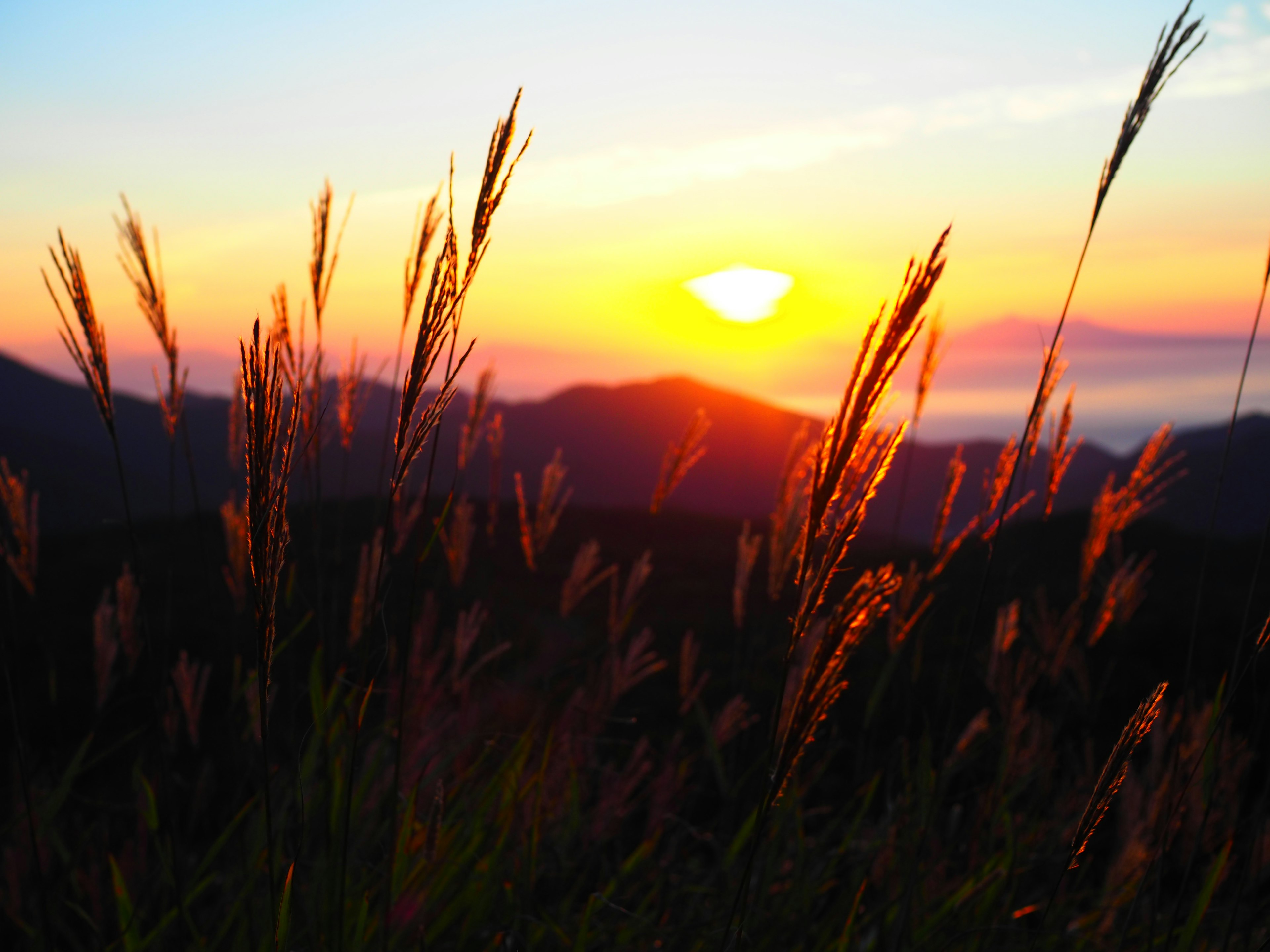 夕日が沈む山々と草原の風景