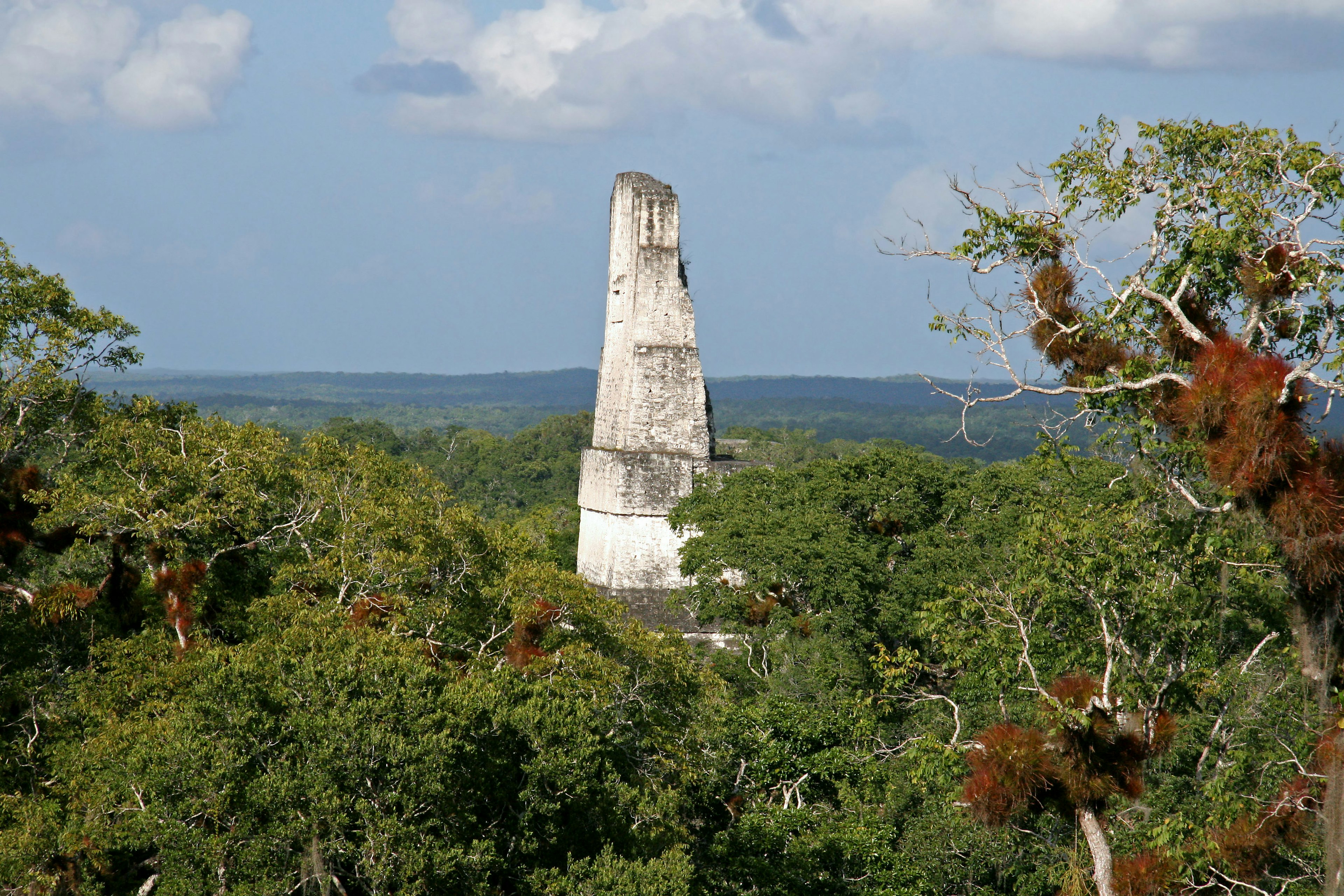 Ruines du temple de Tikal s'élevant au-dessus de la jungle verdoyante