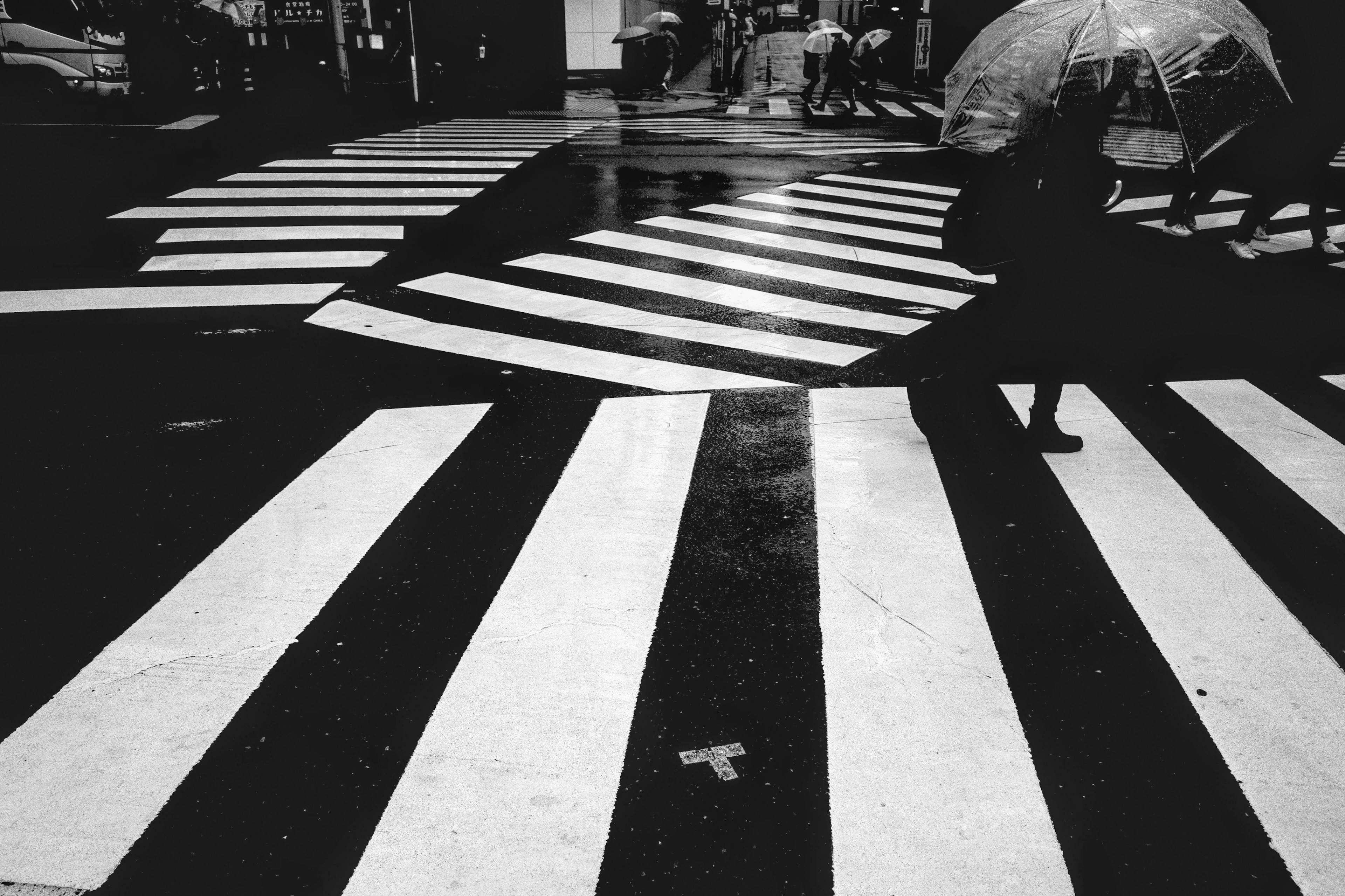 Seseorang berjalan dengan payung di zebra cross hitam dan putih