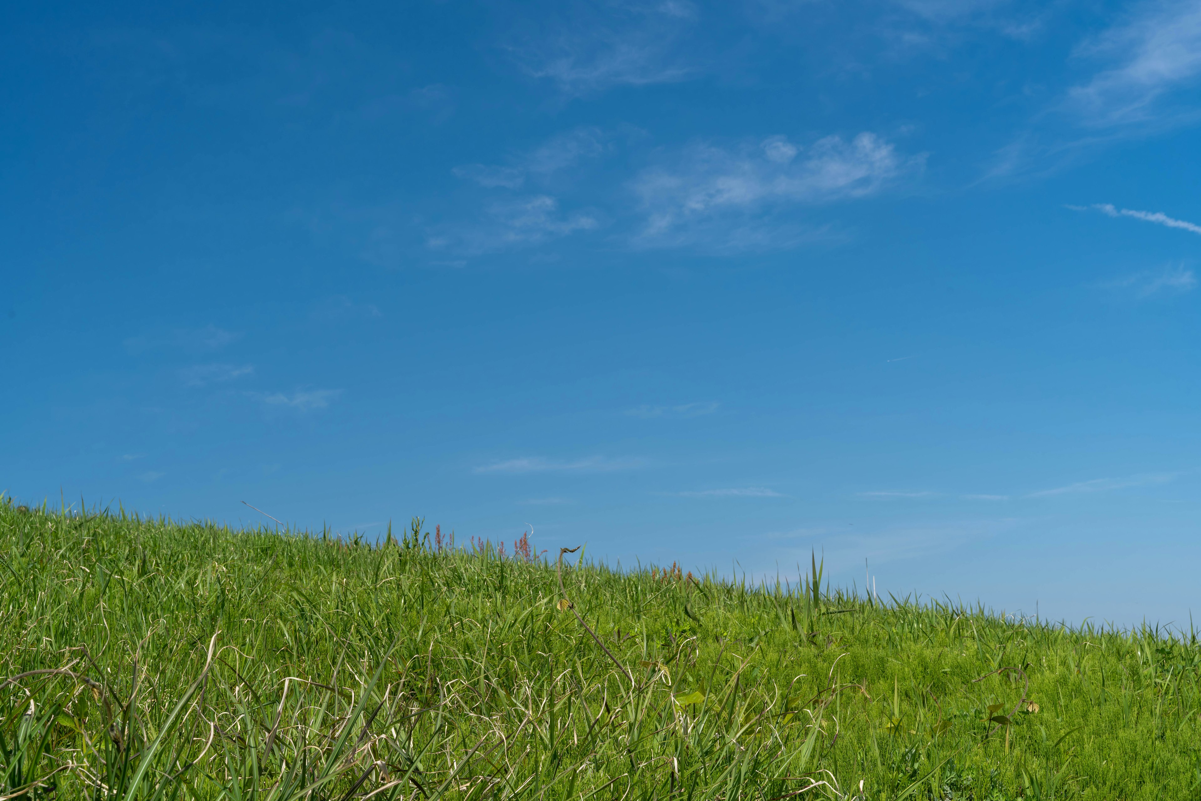 Landscape featuring a blue sky and green grassy hill