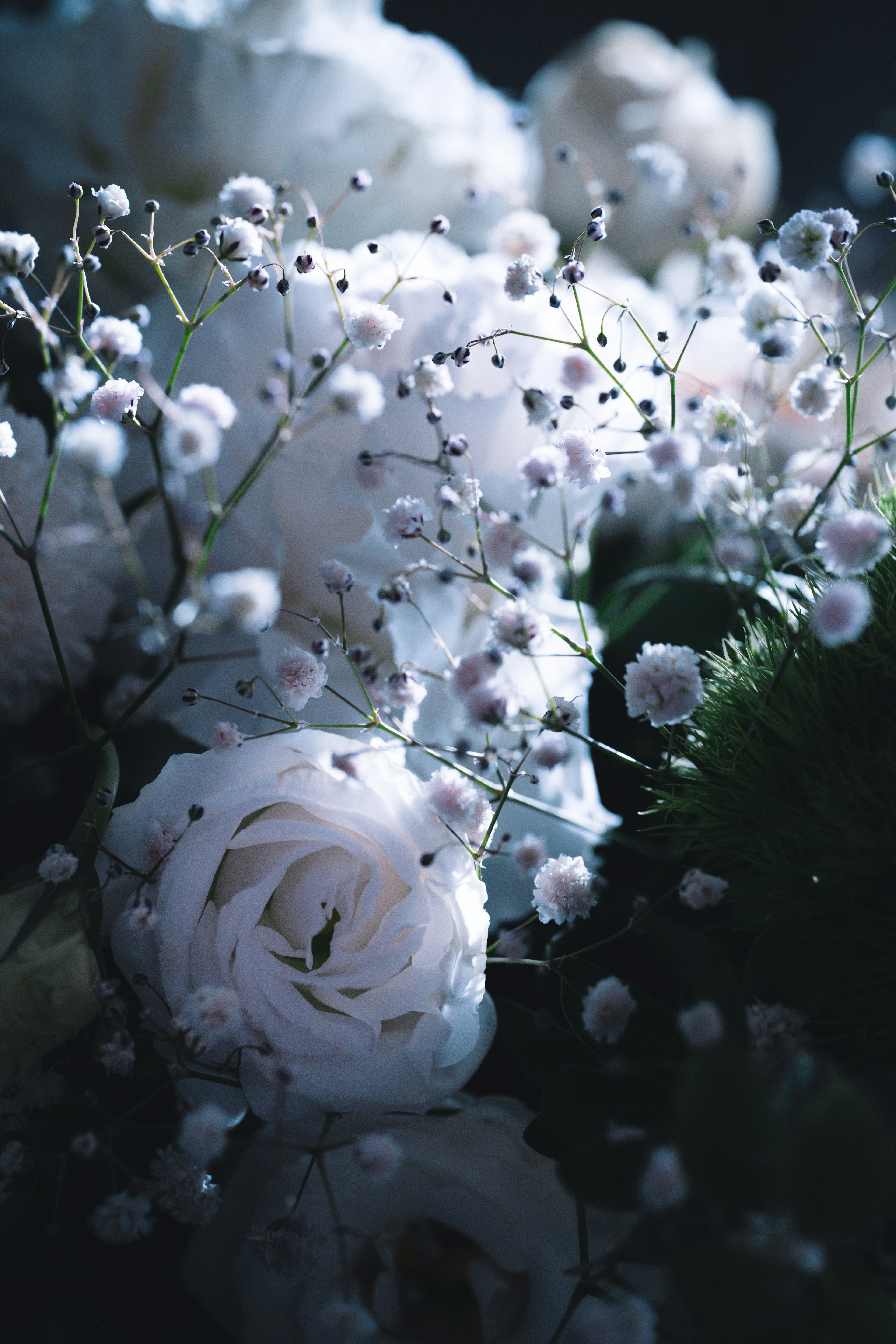 Un ramo de rosas blancas y flores pequeñas sobre un fondo oscuro