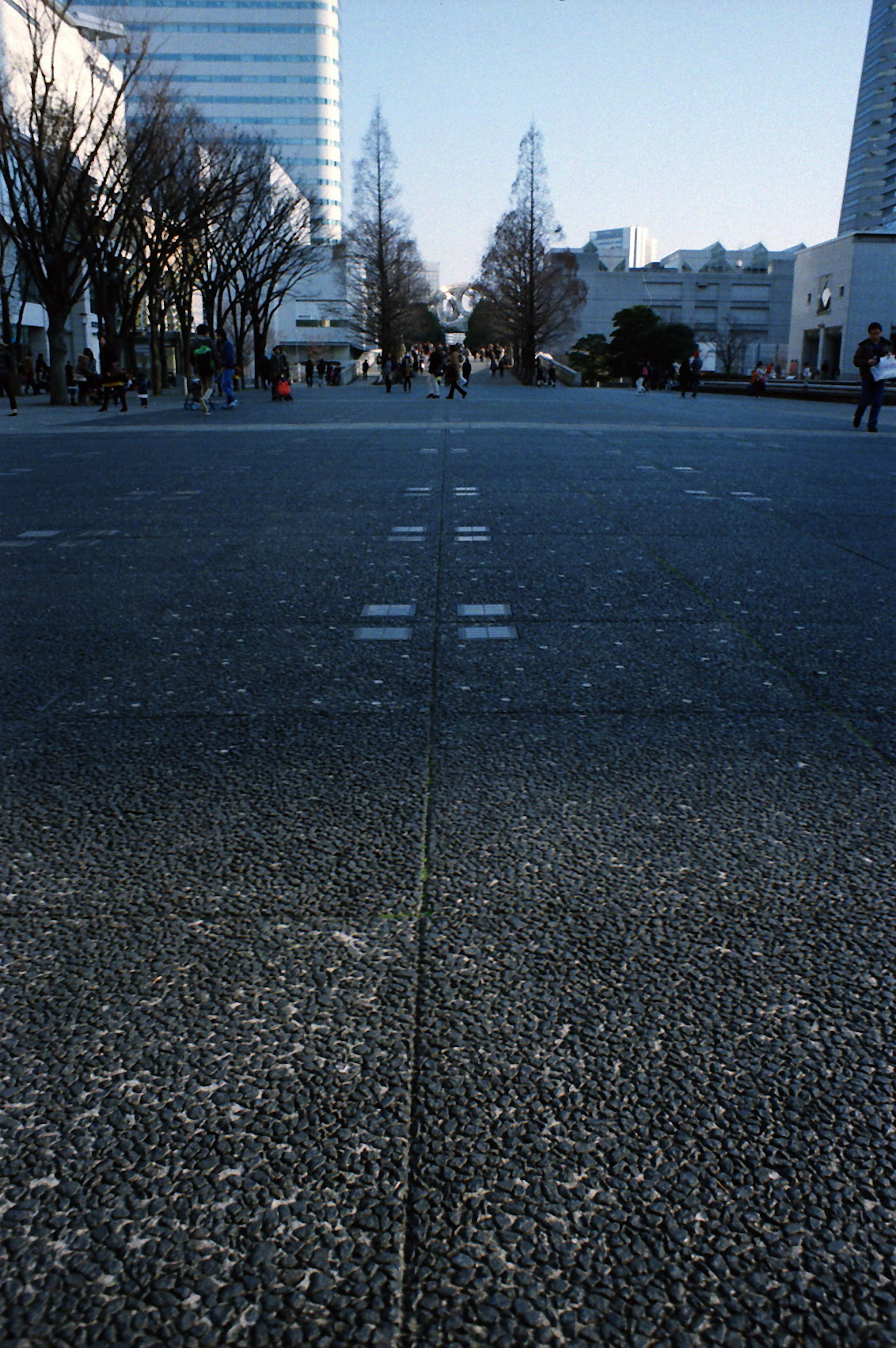 Low angle view of a paved plaza with buildings and trees in the background