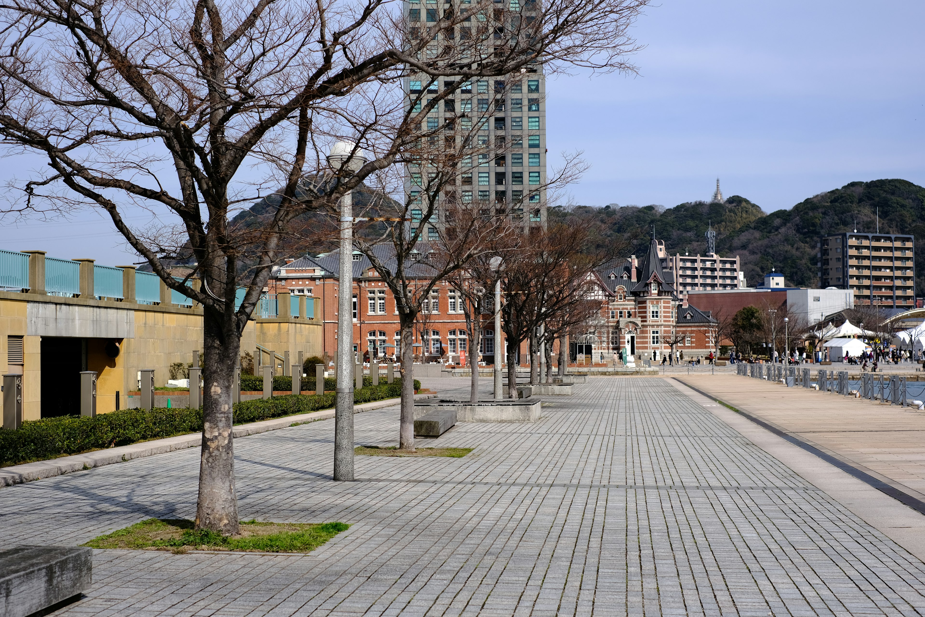 나무가 늘어선 길과 고층 건물이 있는 조용한 풍경