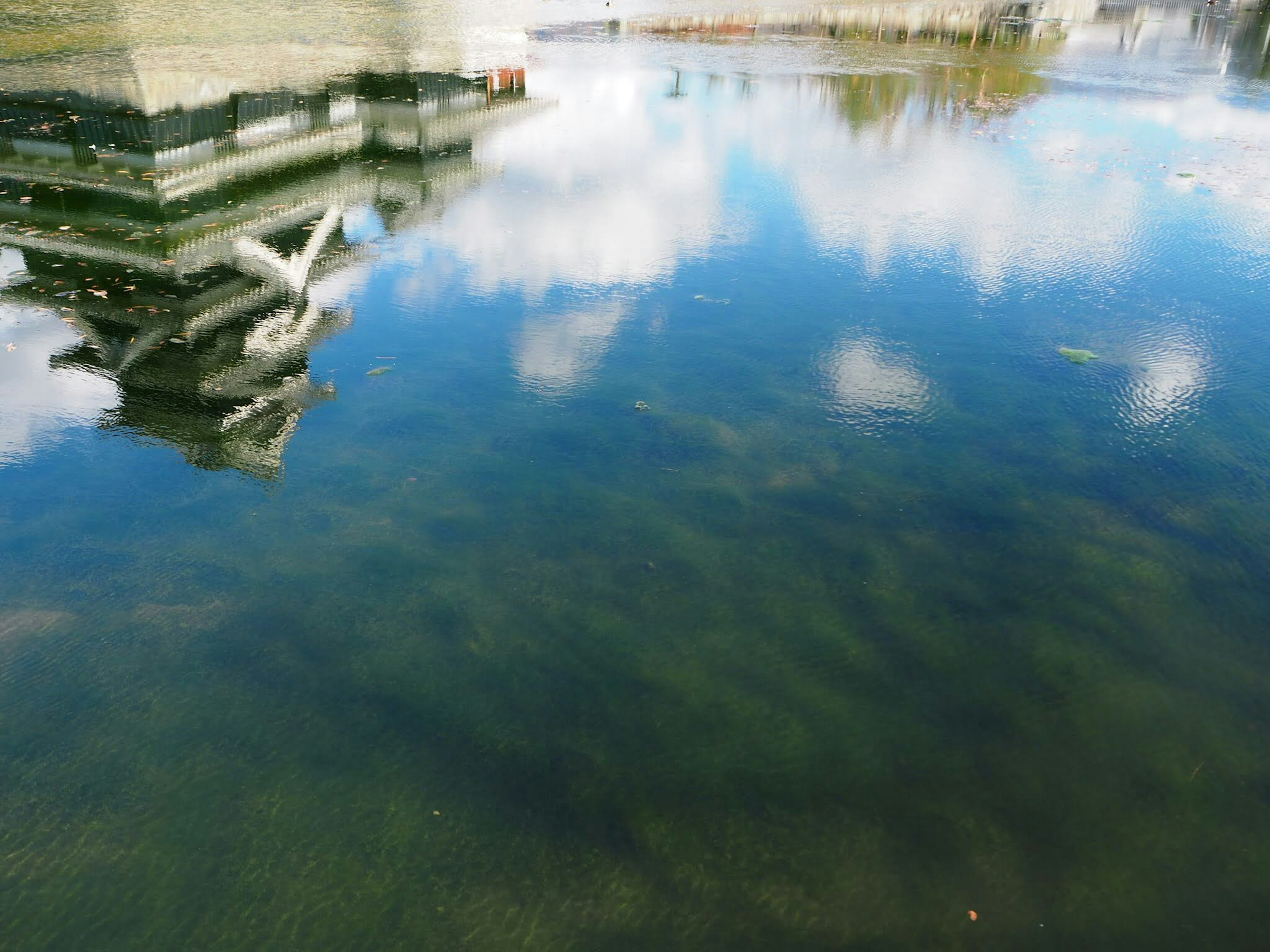 Escena tranquila con reflejos de nubes y edificios en la superficie del agua