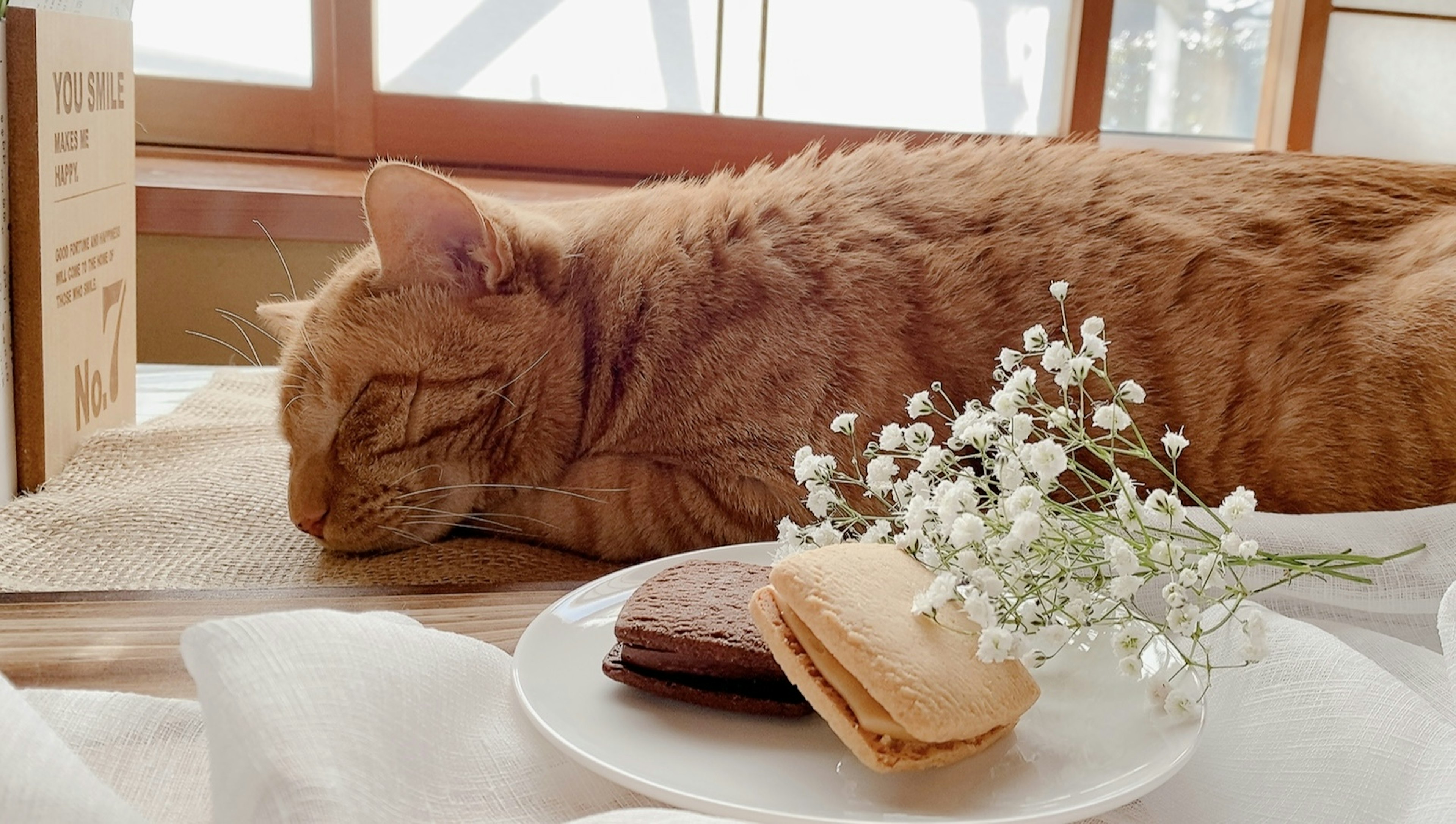 オレンジ色の猫が寝ているテーブルの上にお菓子と小さな花が置かれている