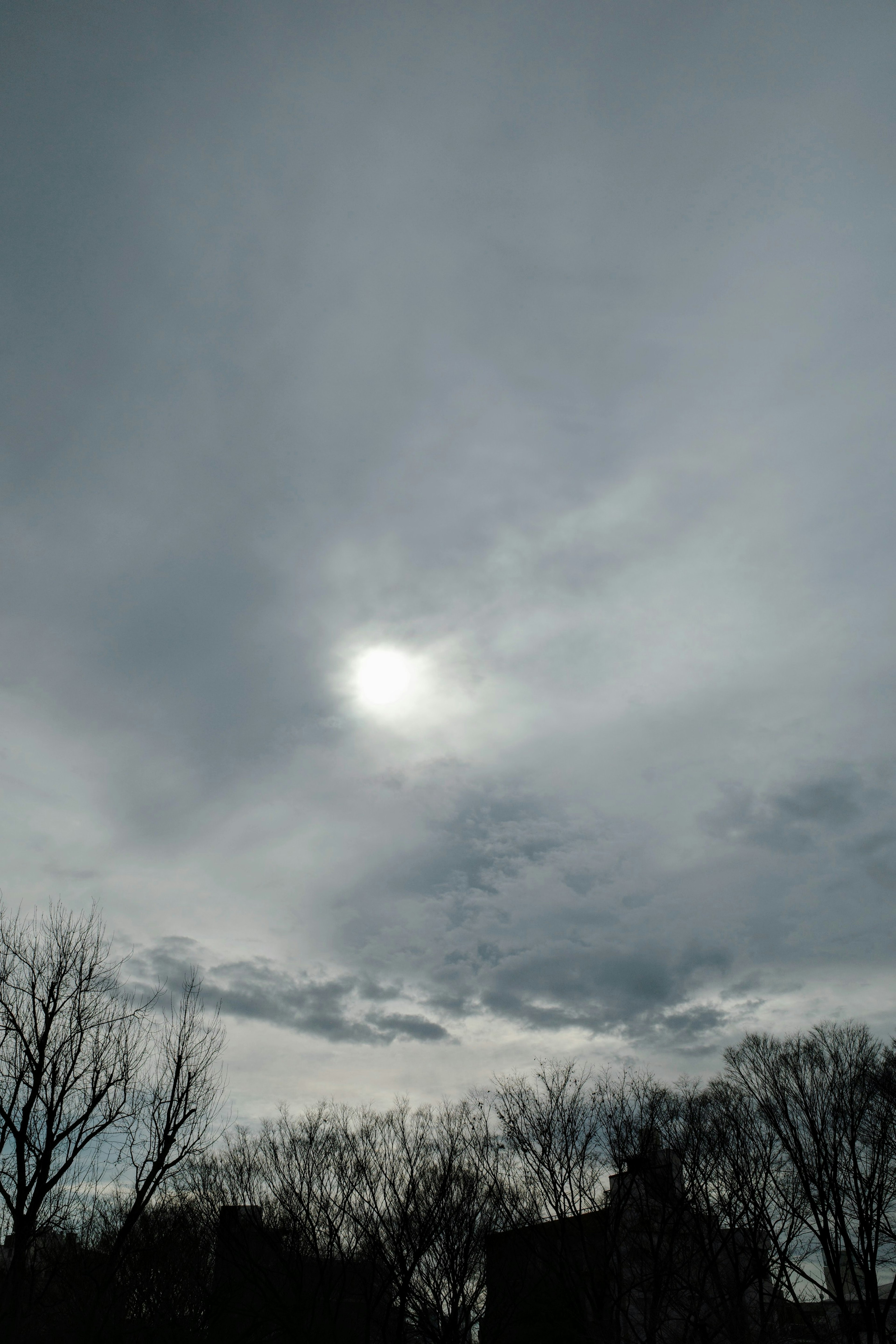 Un faible soleil visible derrière un ciel nuageux avec des silhouettes d'arbres