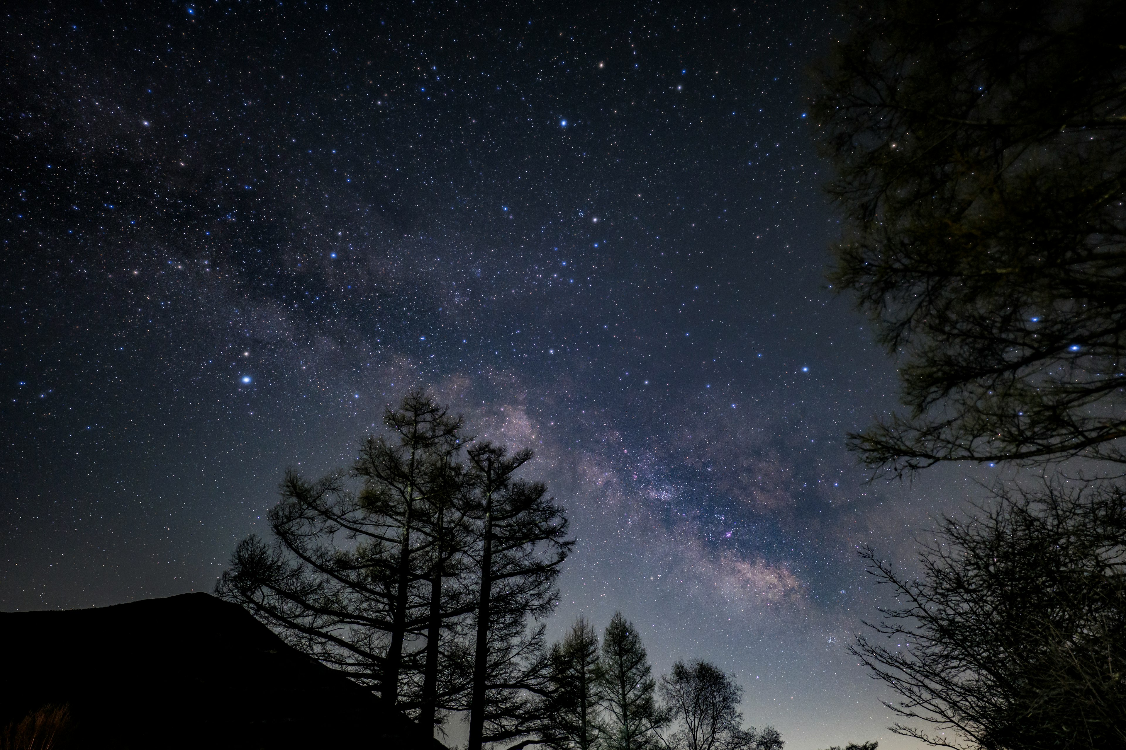 Impresionante vista del cielo nocturno con estrellas y la Vía Láctea junto a siluetas de árboles