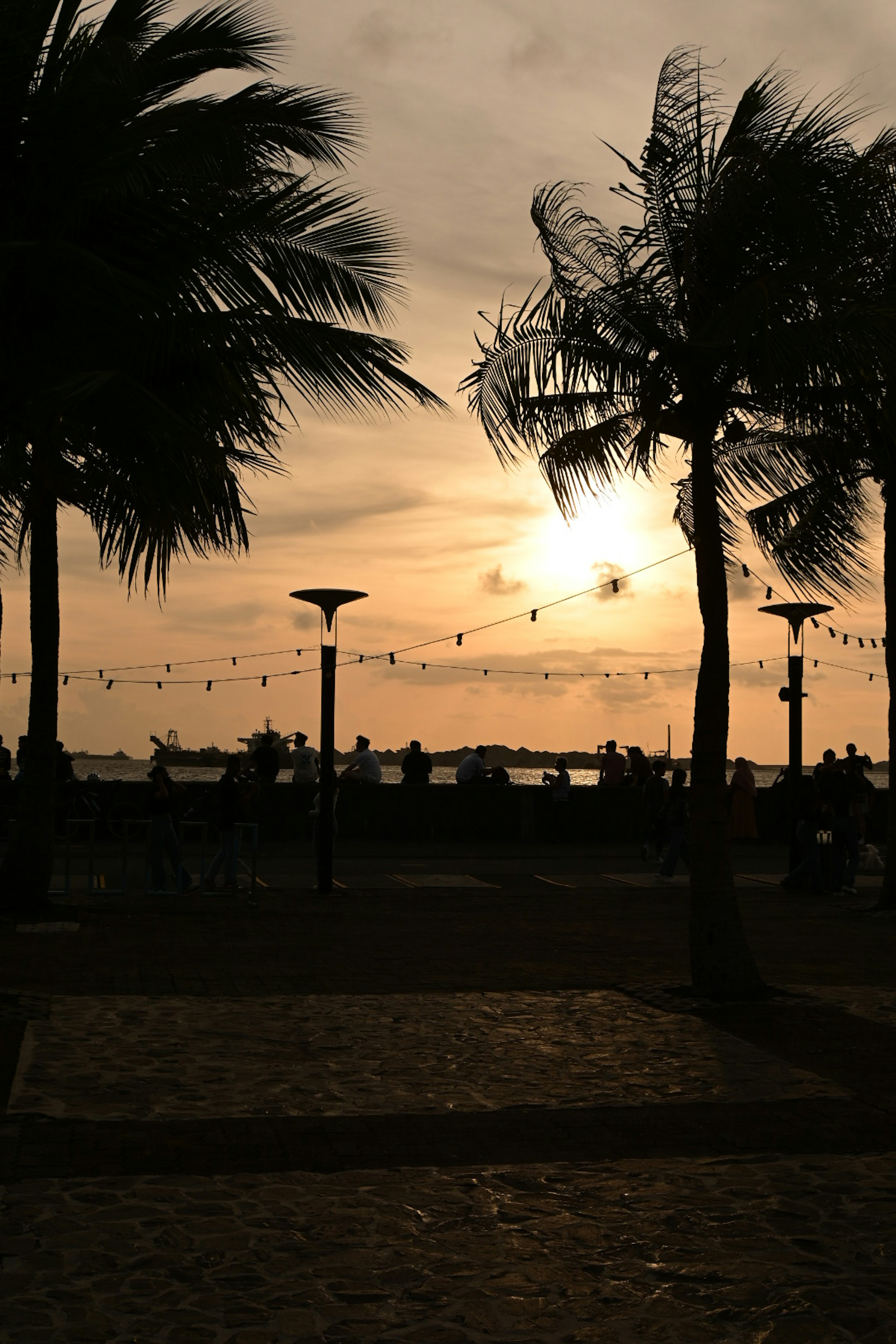 Silhouette of people and palm trees against a sunset