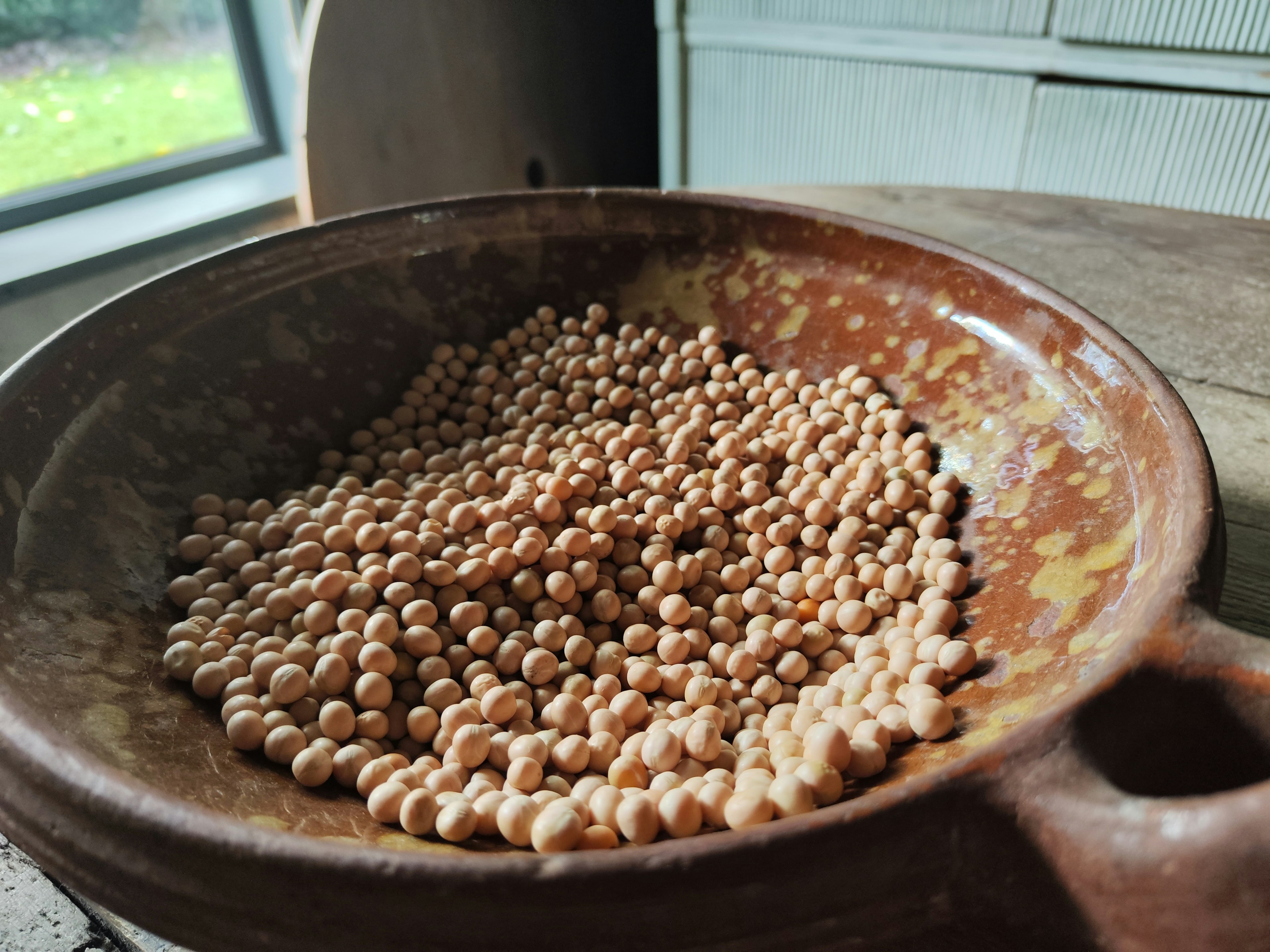 Piring coklat penuh dengan banyak biji kecil