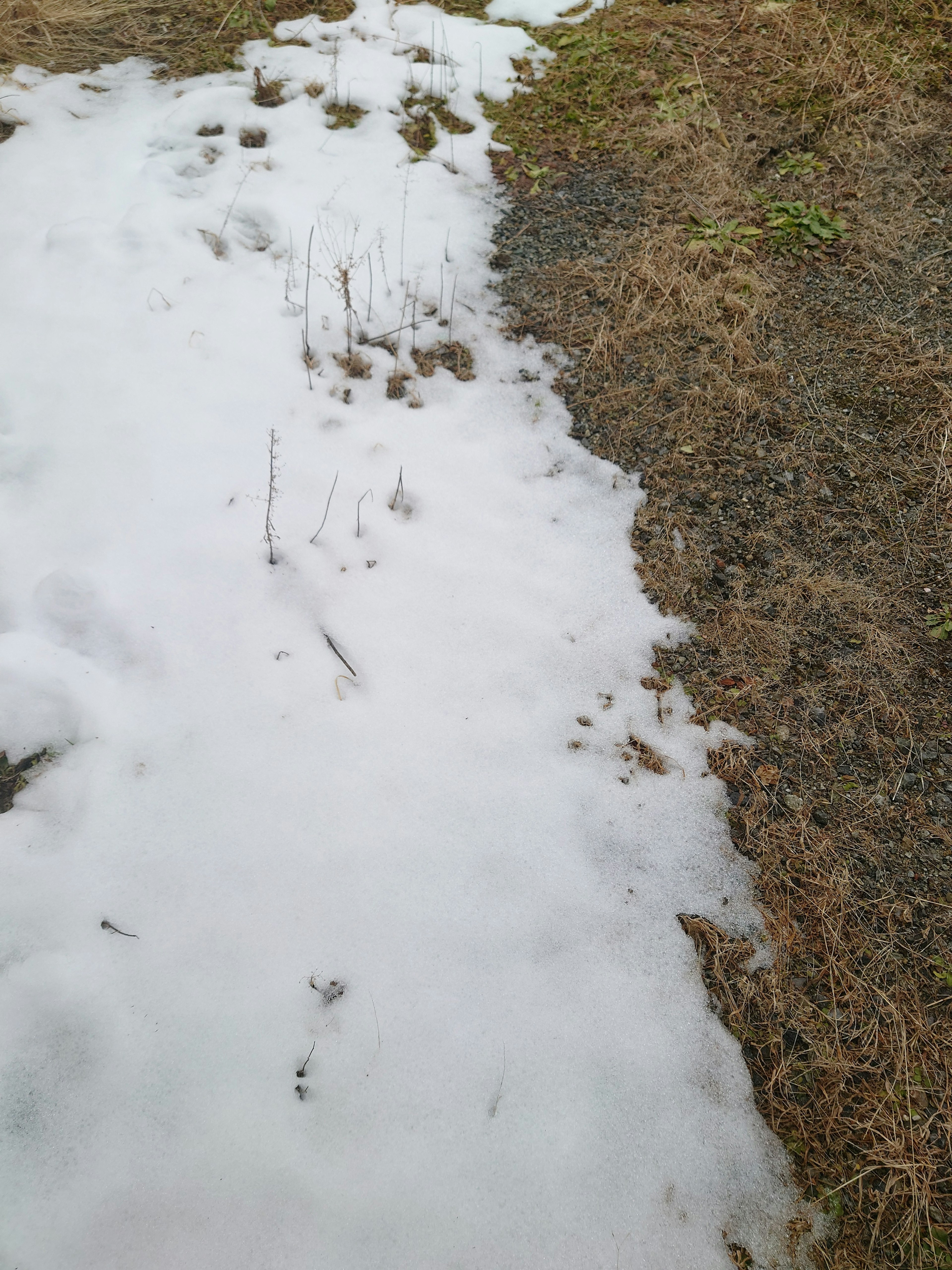 Un paysage avec un chemin couvert de neige adjacent à de l'herbe sèche