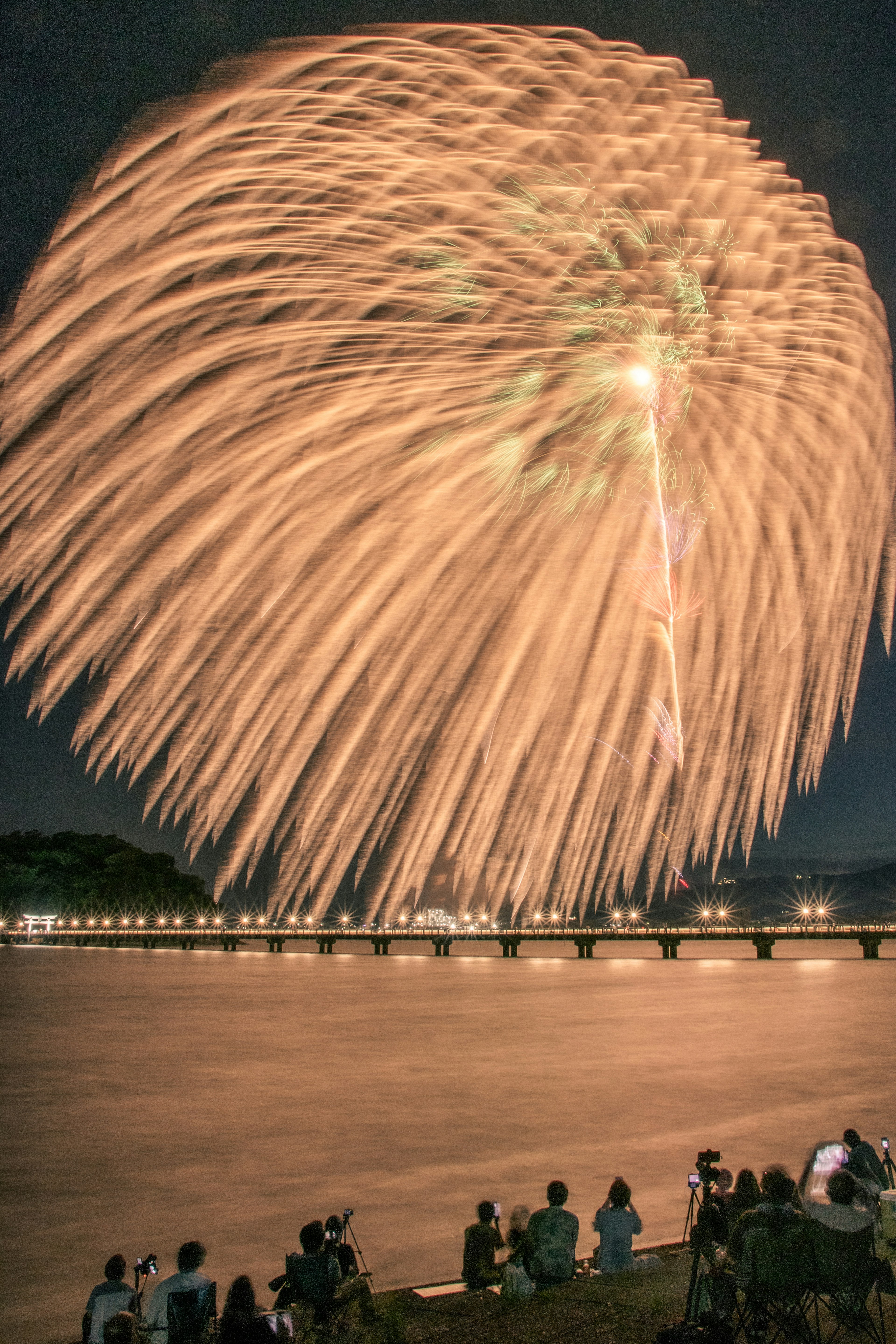 Spektakuläres Feuerwerk am Nachthimmel mit Zuschauern