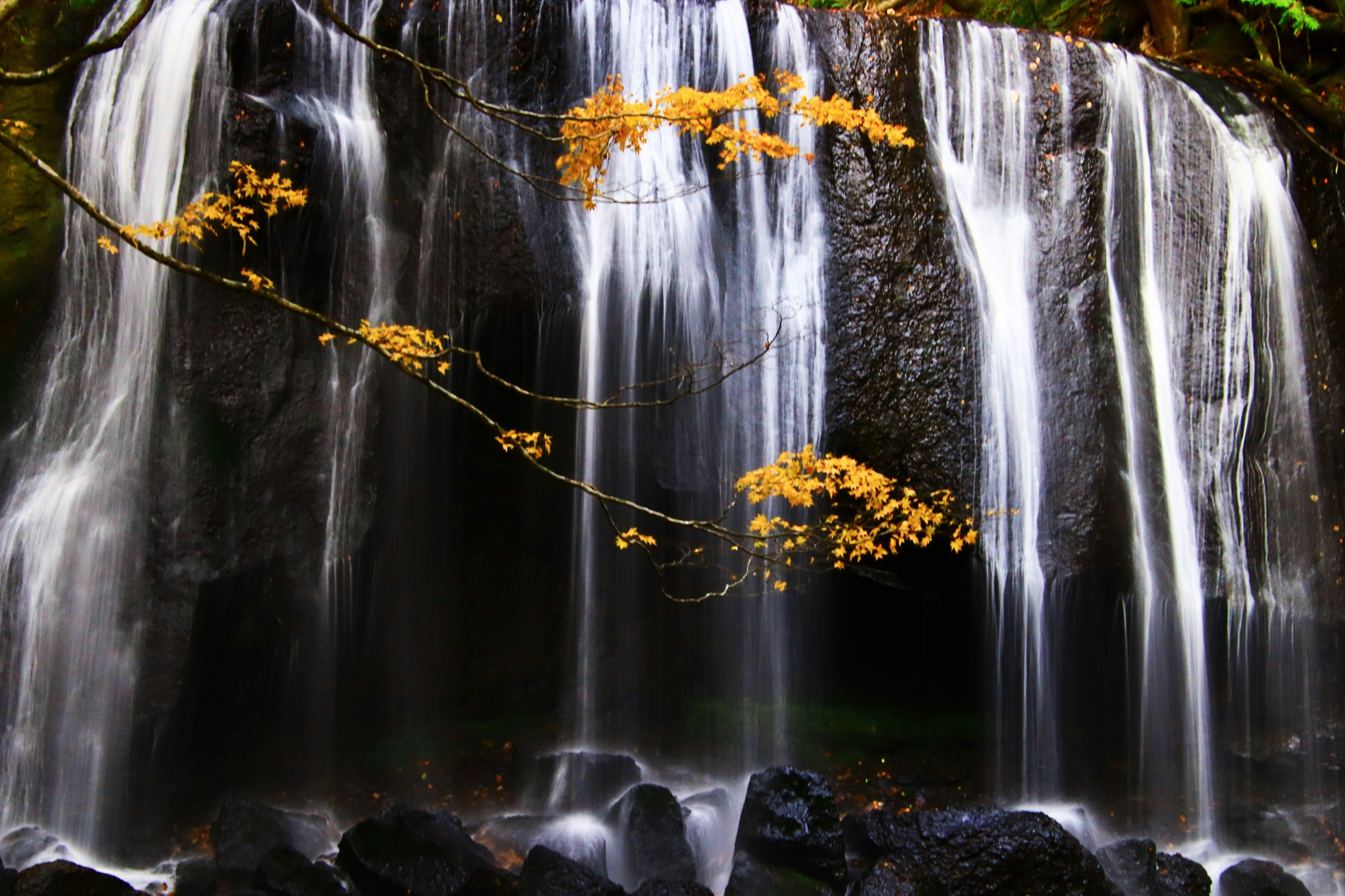 ทิวทัศน์ธรรมชาติที่สวยงามมีน้ำตกและใบไม้สีเหลืองบนพื้นหลังหิน