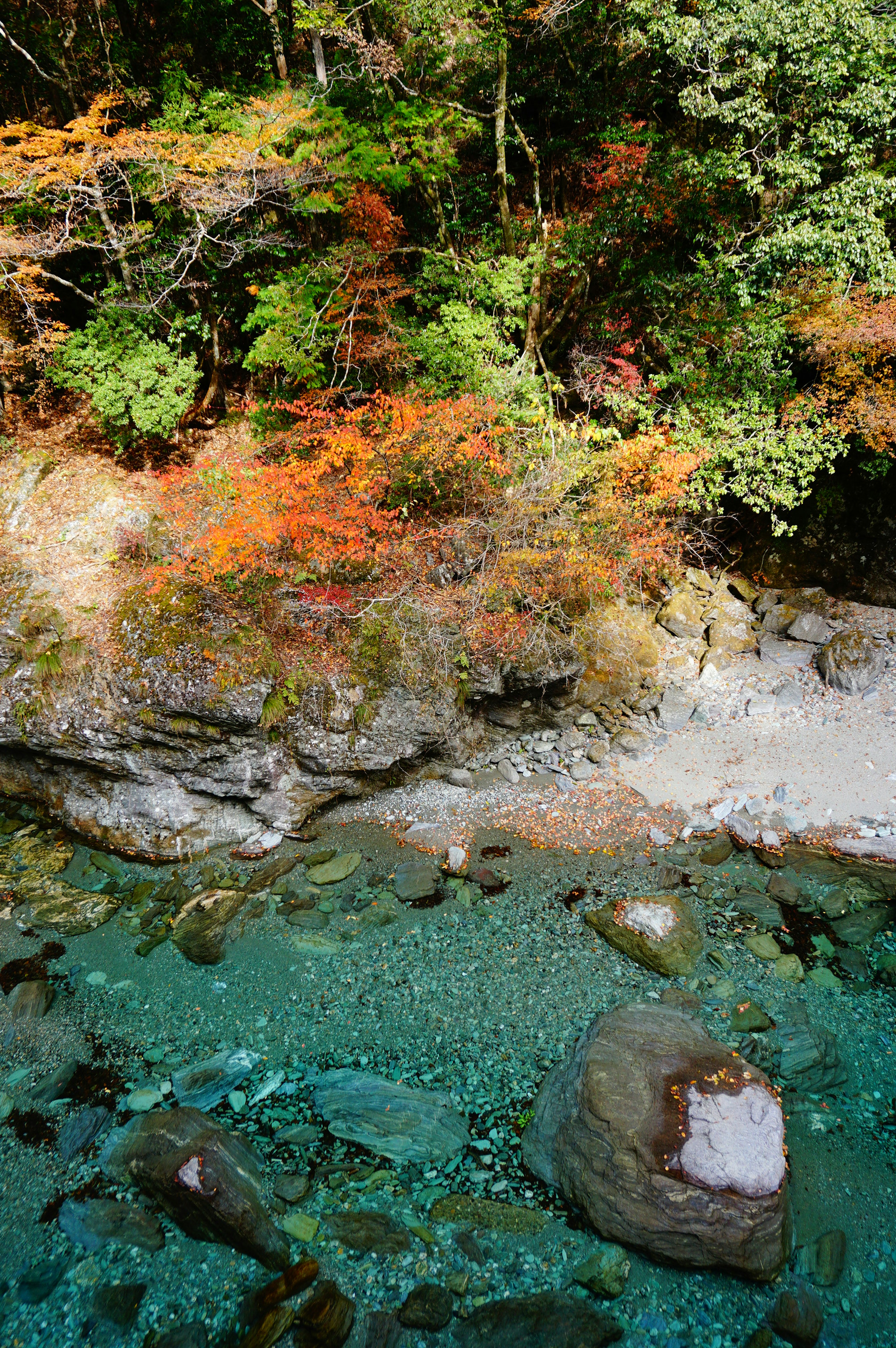 Pemandangan alam dengan air biru dan pohon berwarna