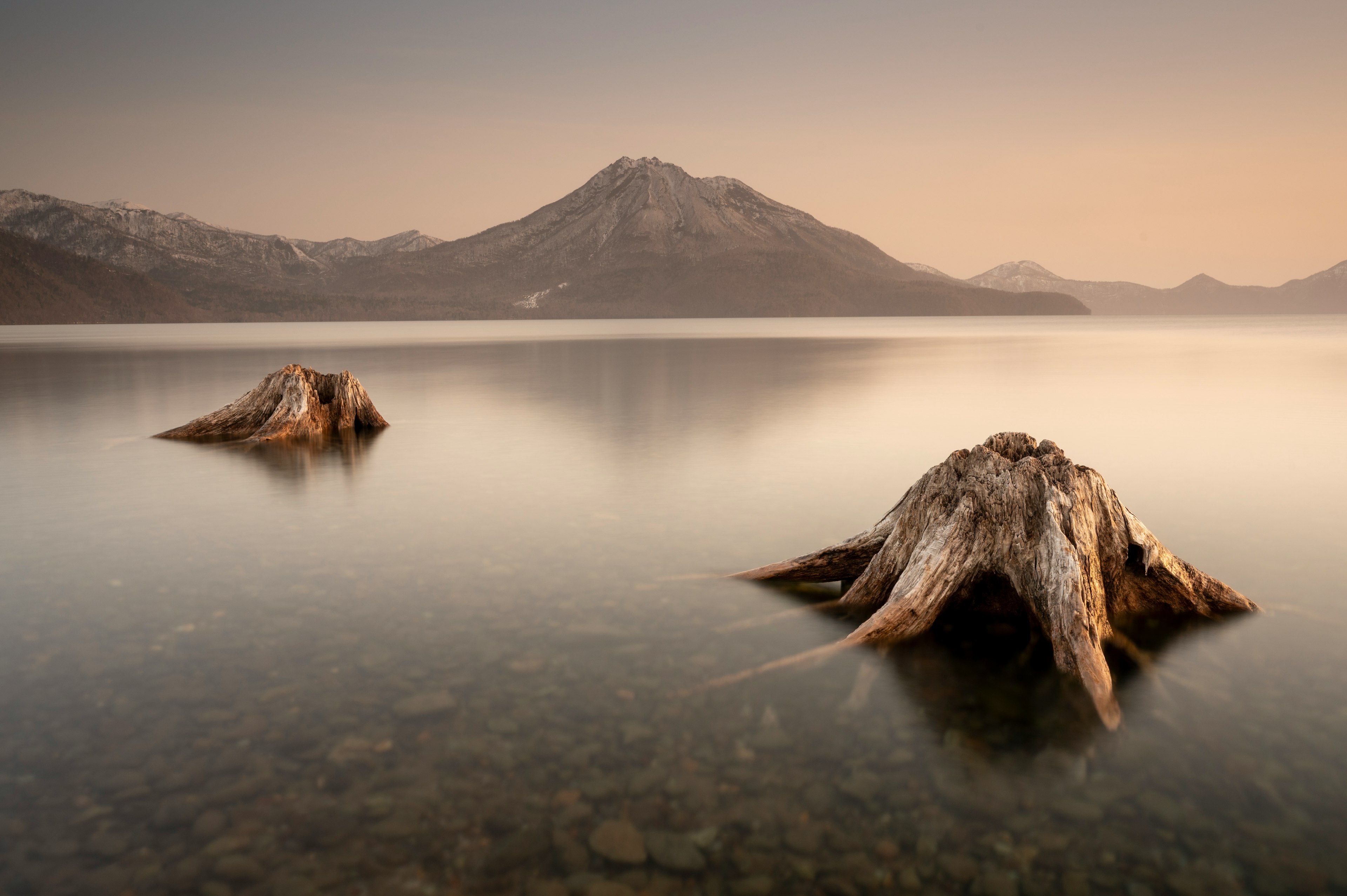 静かな湖面に浮かぶ木の根と遠くの山々の風景