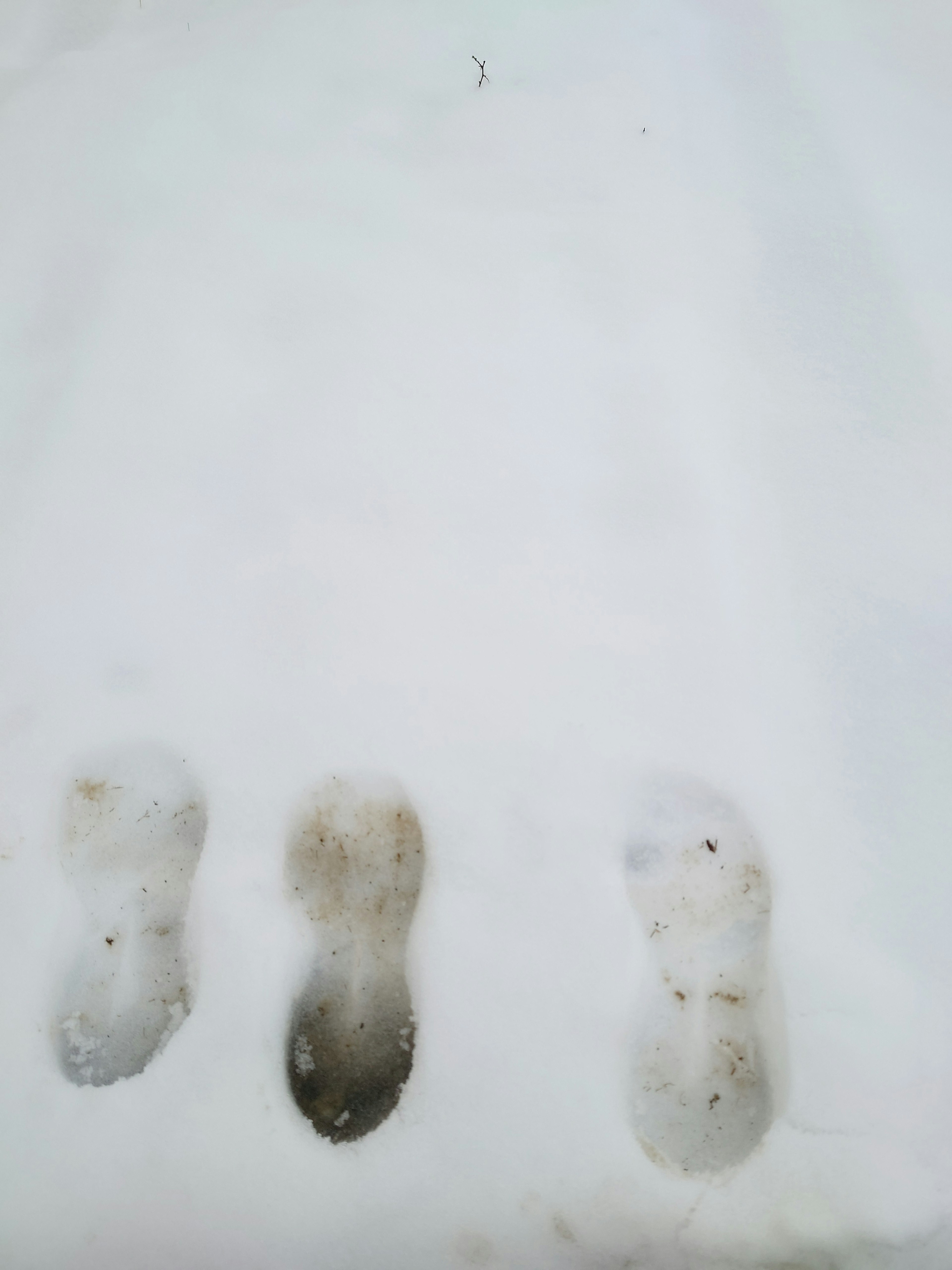 Tre impronte su una superficie innevata