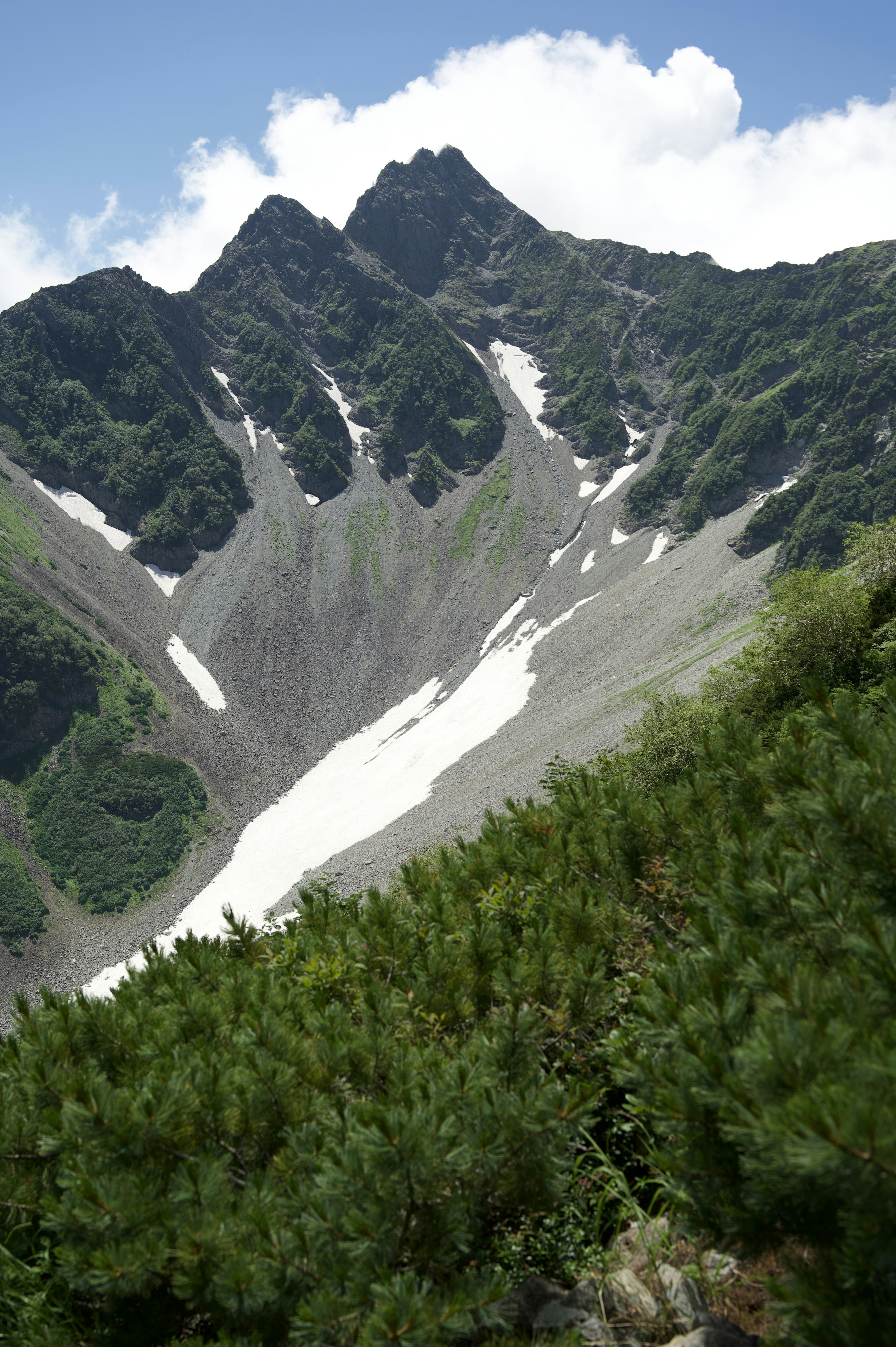 美しい山々と緑の植生が見える風景