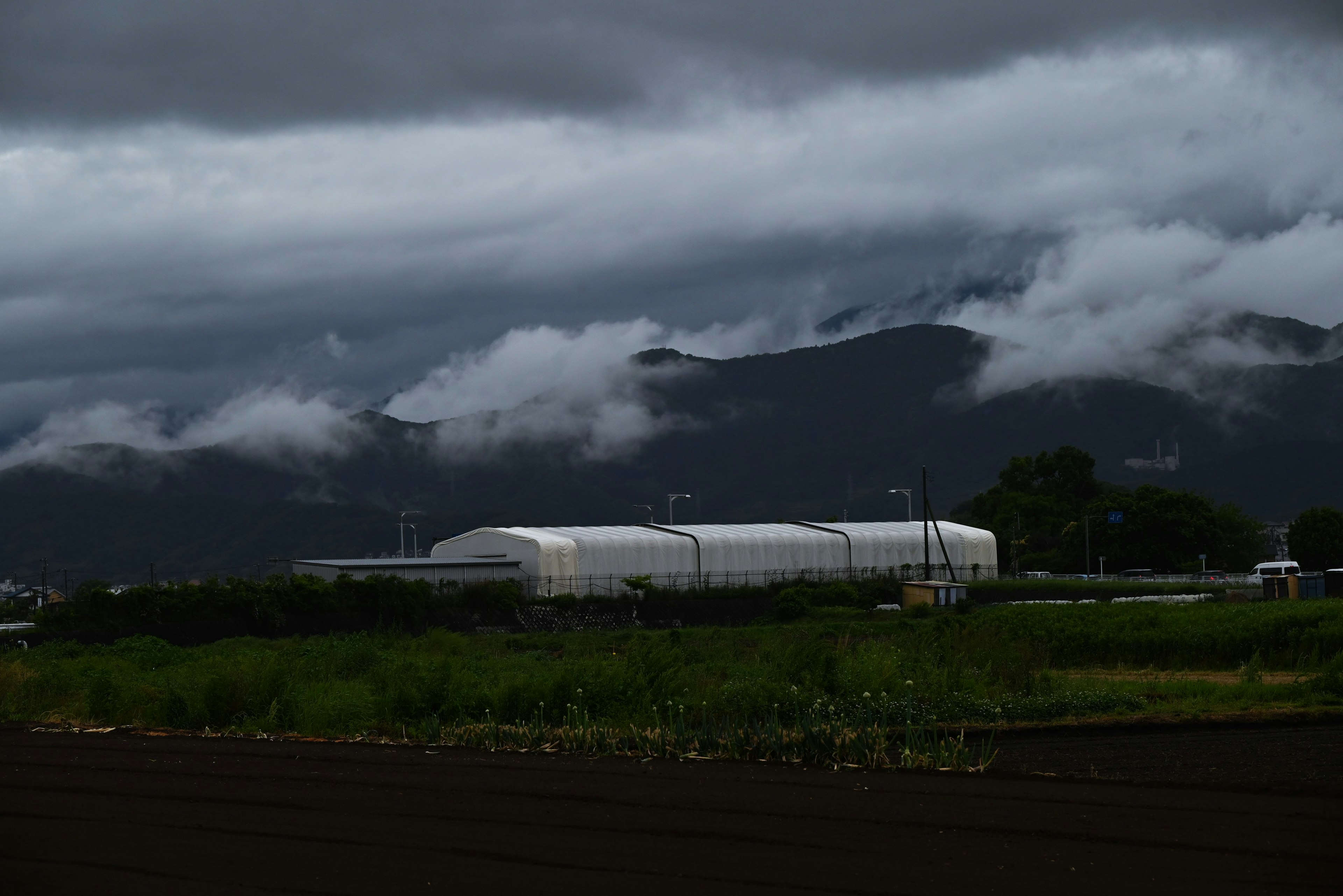 曇り空の下にある大きな白いビニールハウスと山々の風景