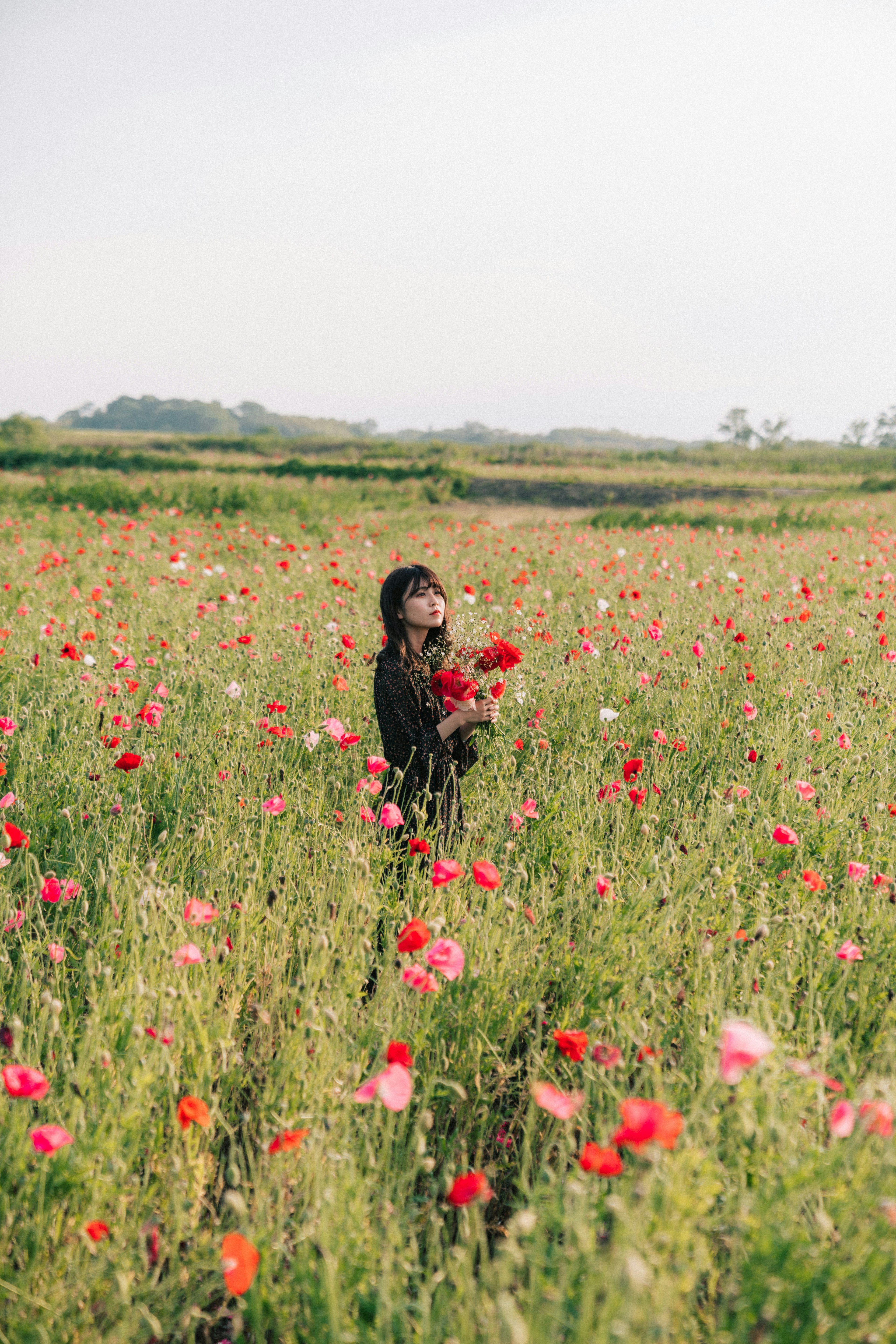 花畑の中で赤い花を抱える子供の姿